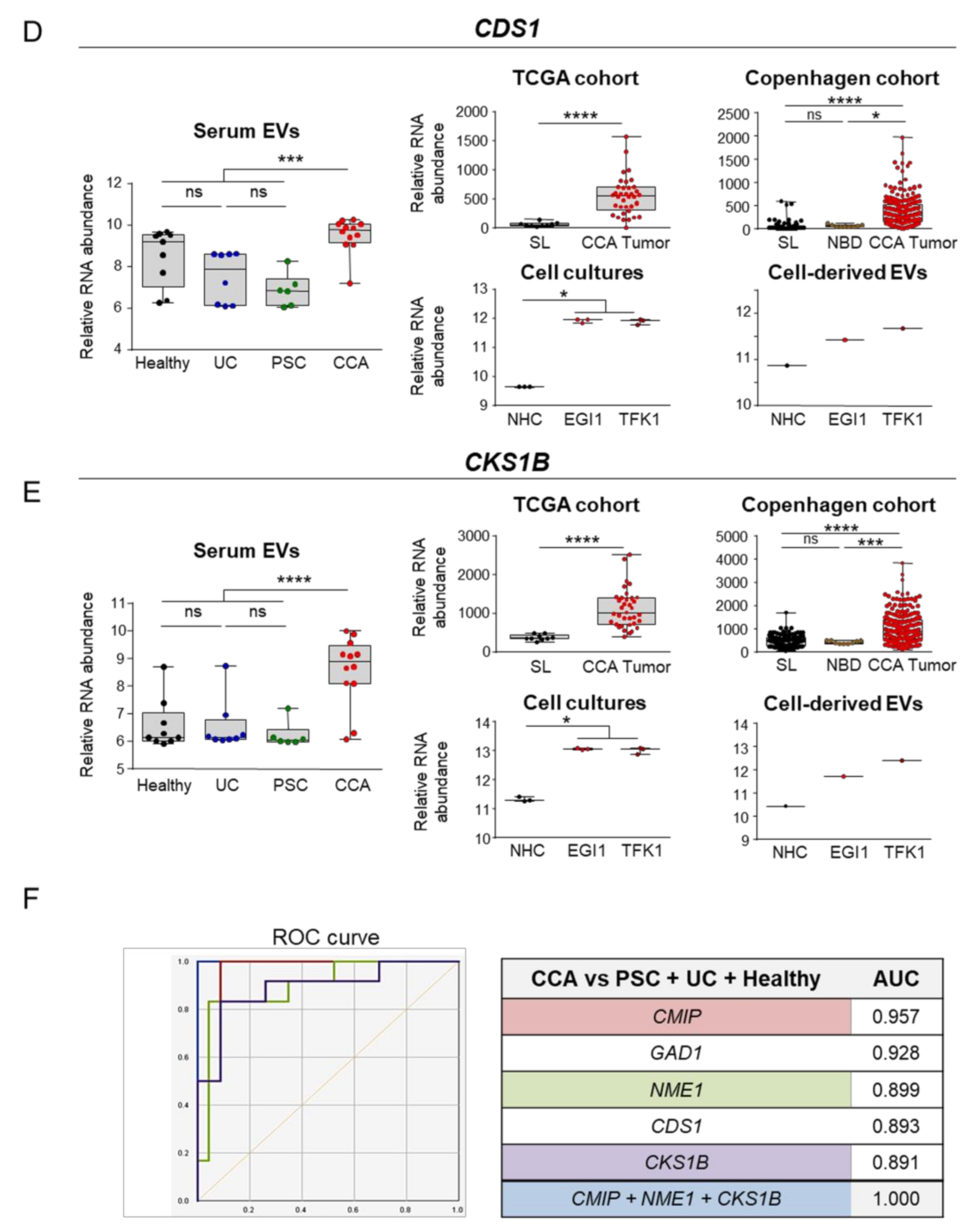 Cells 09 00721 g005b