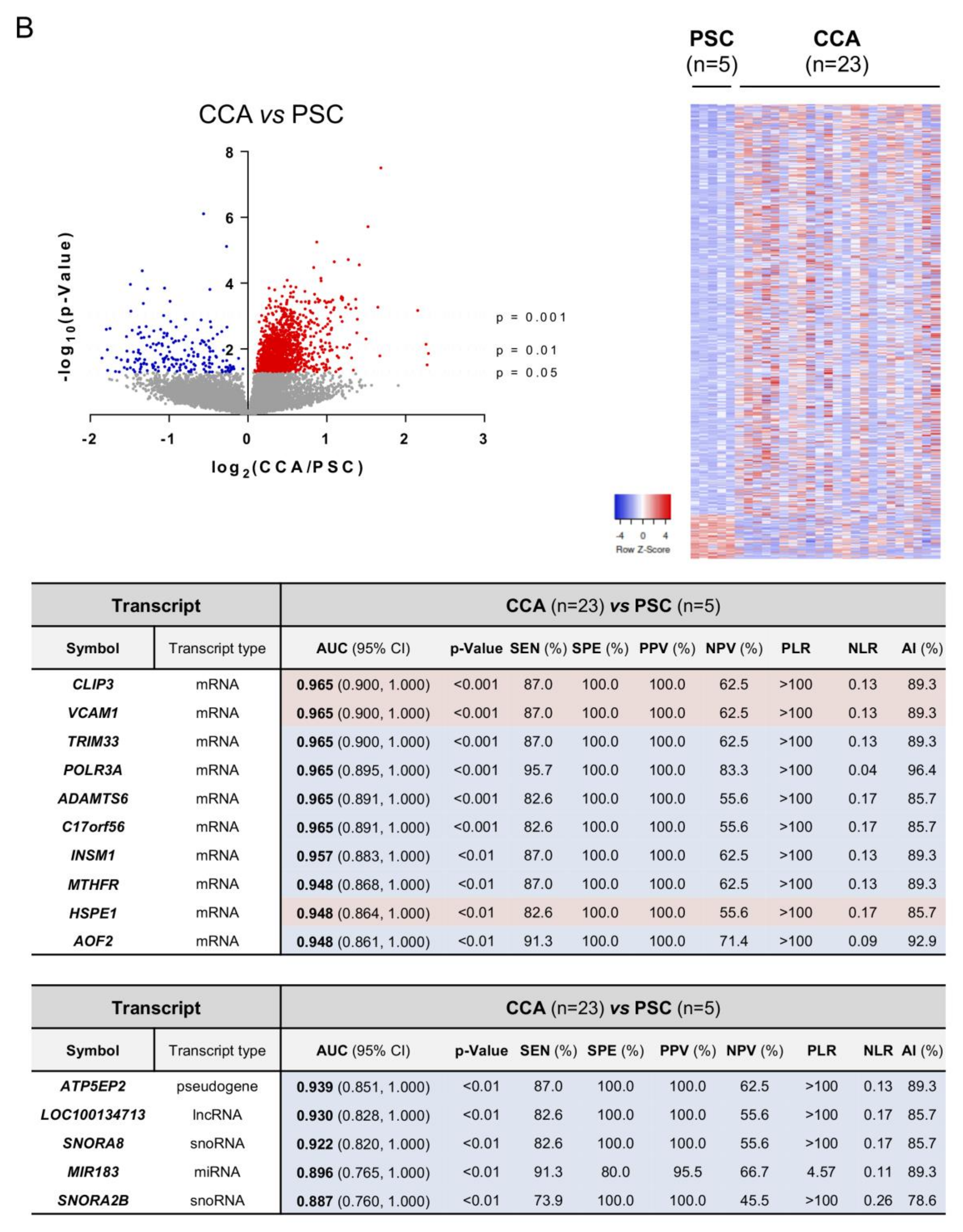 Cells 09 00721 g007b