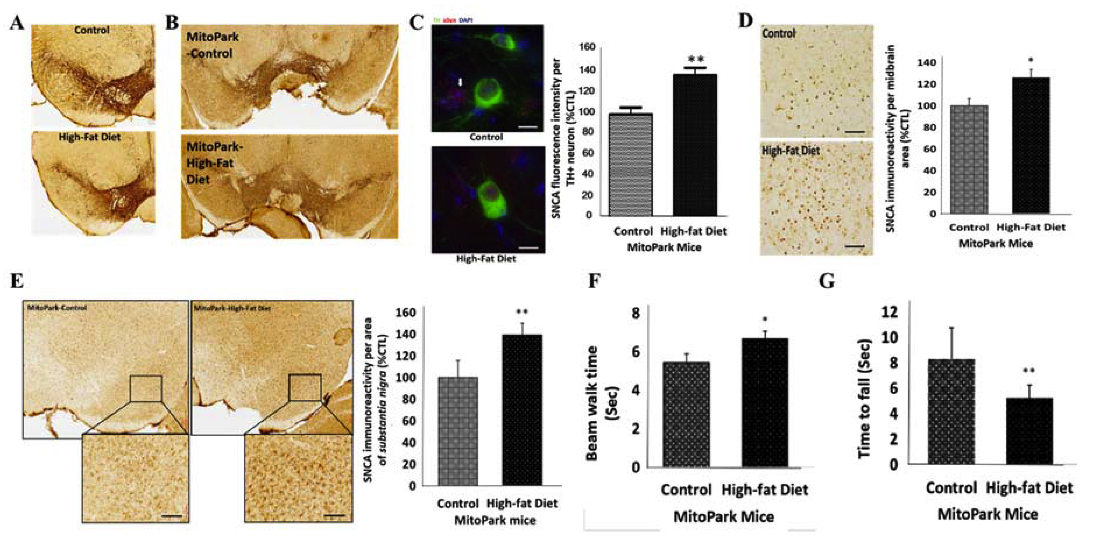 Cells 09 00740 g002 Cells 09 00740 g002