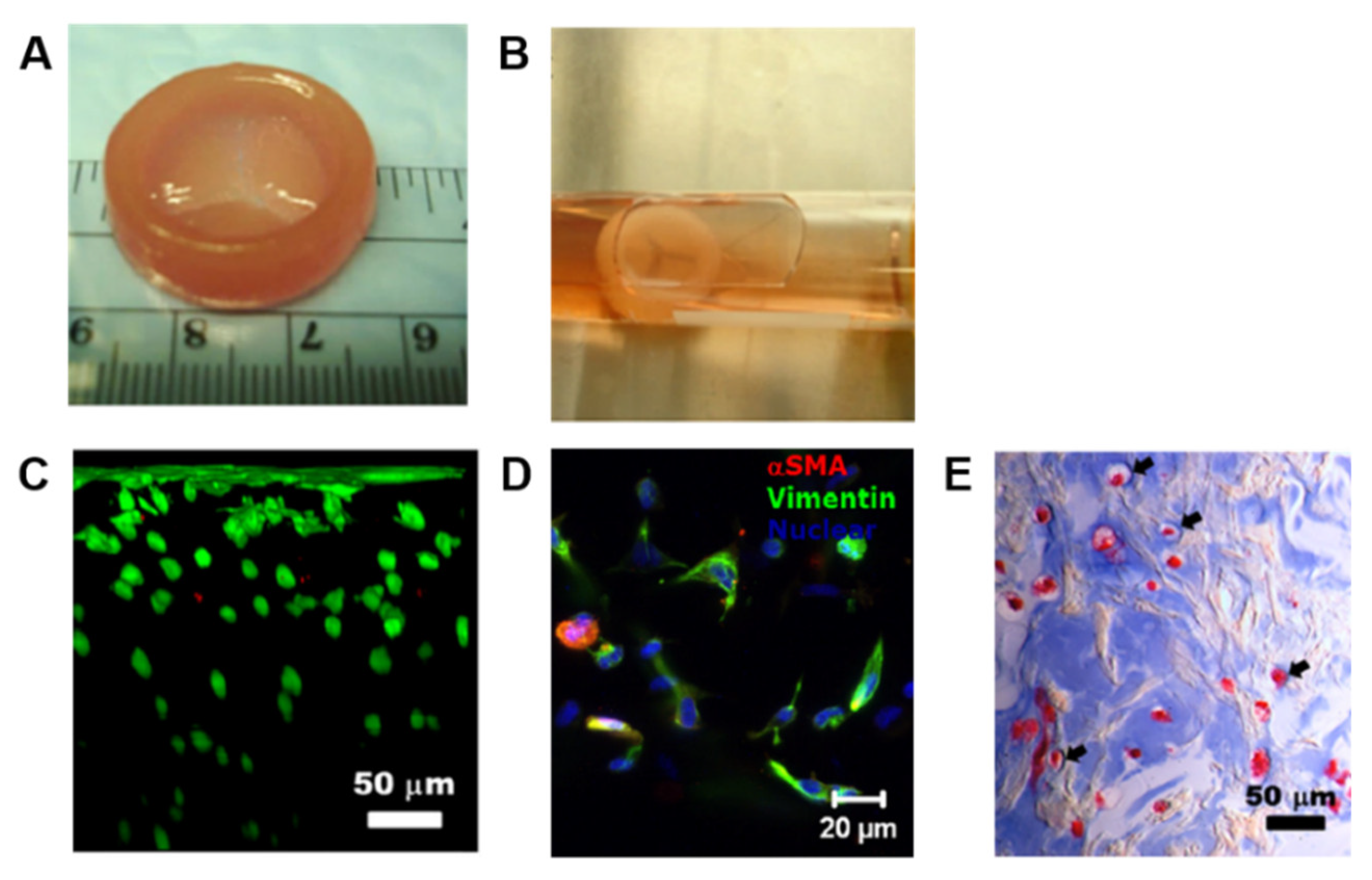 Cells 09 00742 g008