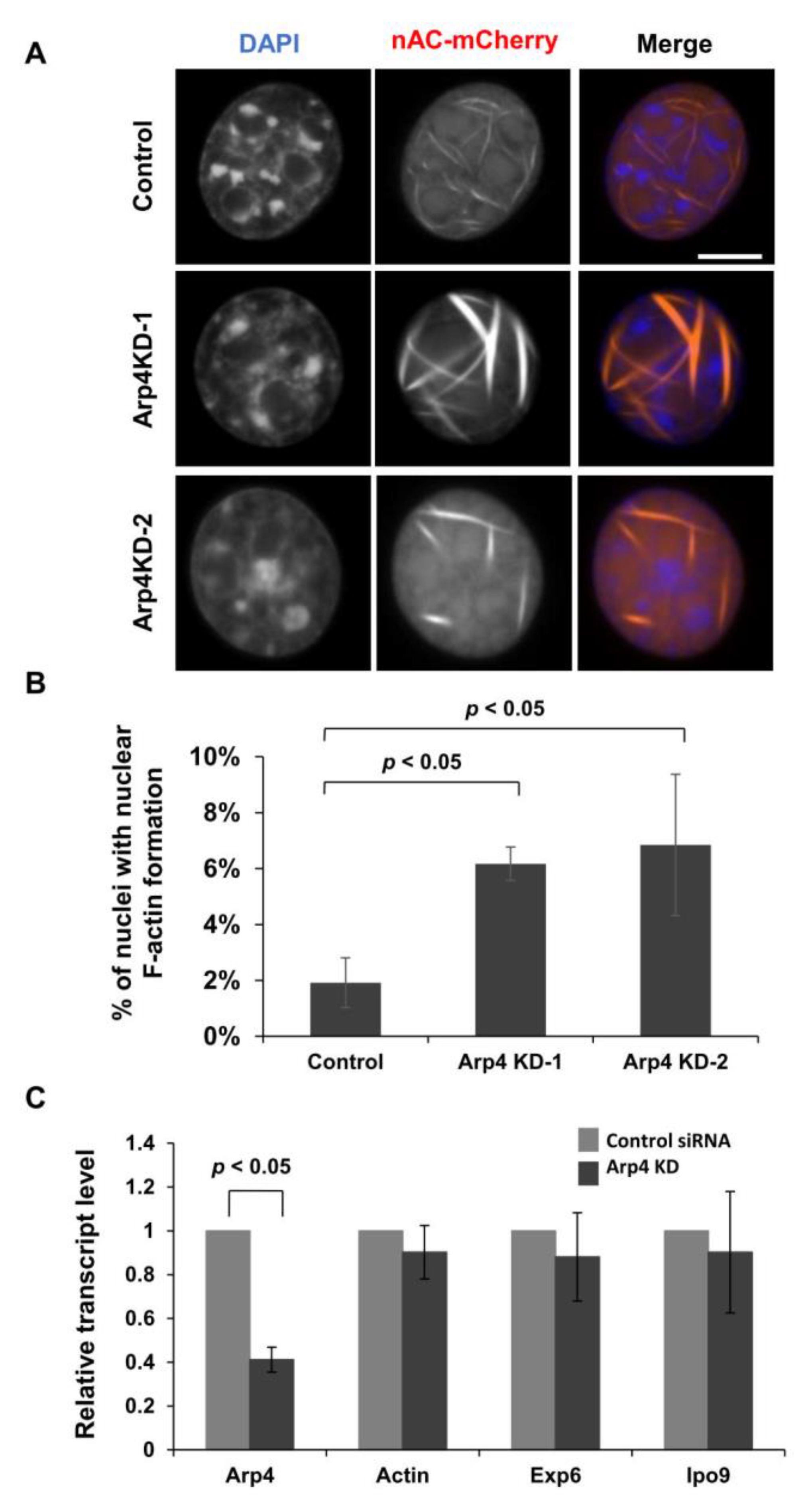 Cells 09 00758 g001 Cells 09 00758 g001