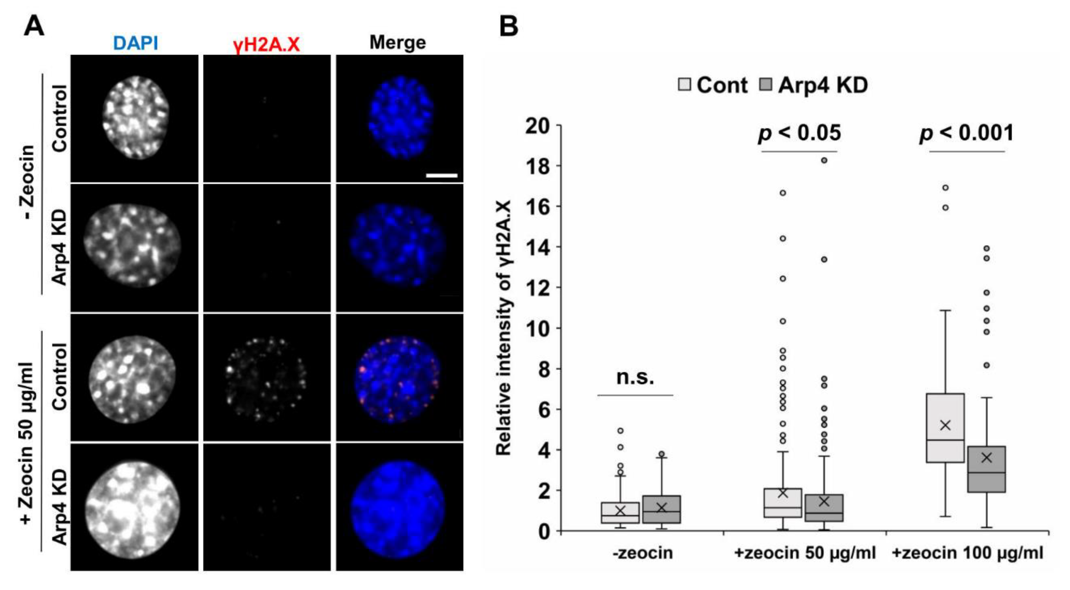 Cells 09 00758 g005 Cells 09 00758 g005