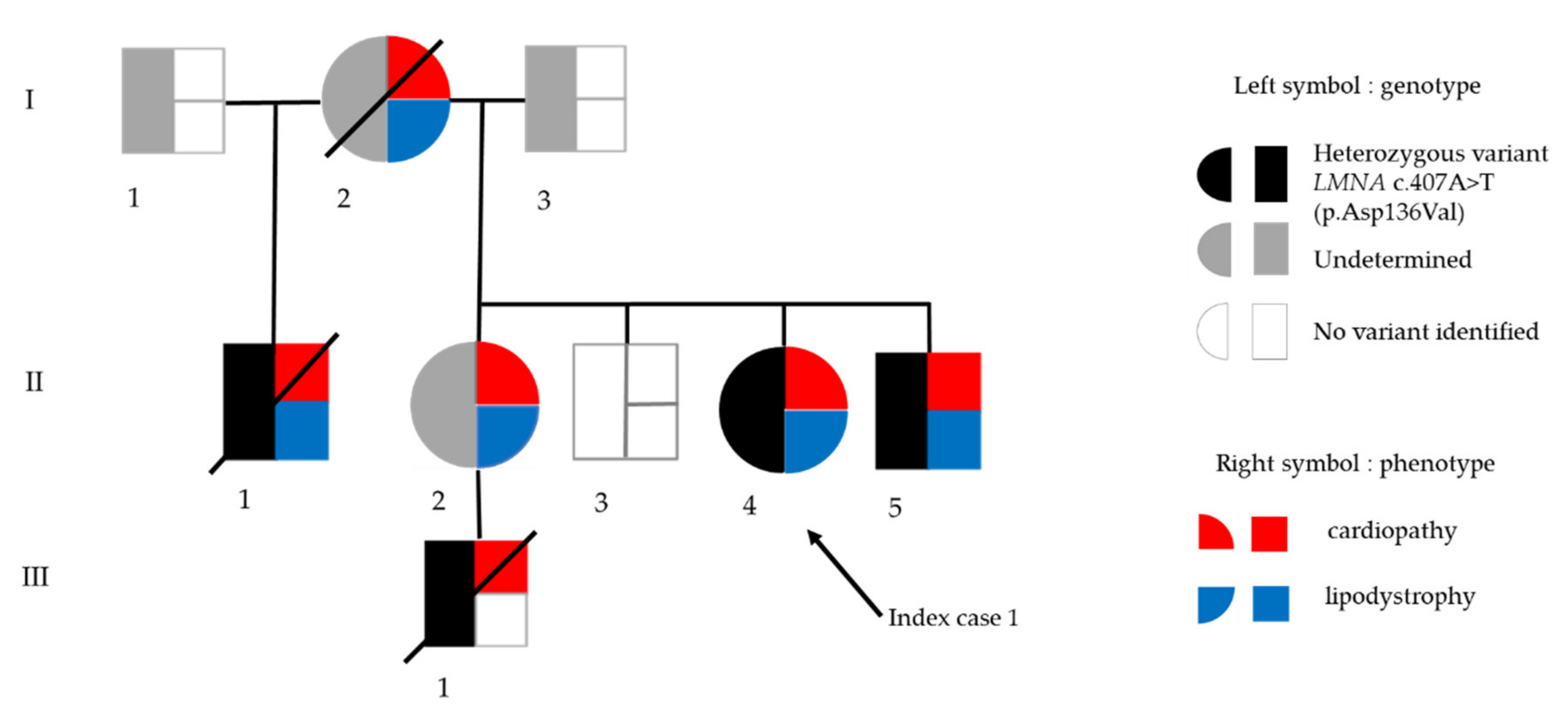 Cells 09 00765 g001 Cells 09 00765 g001