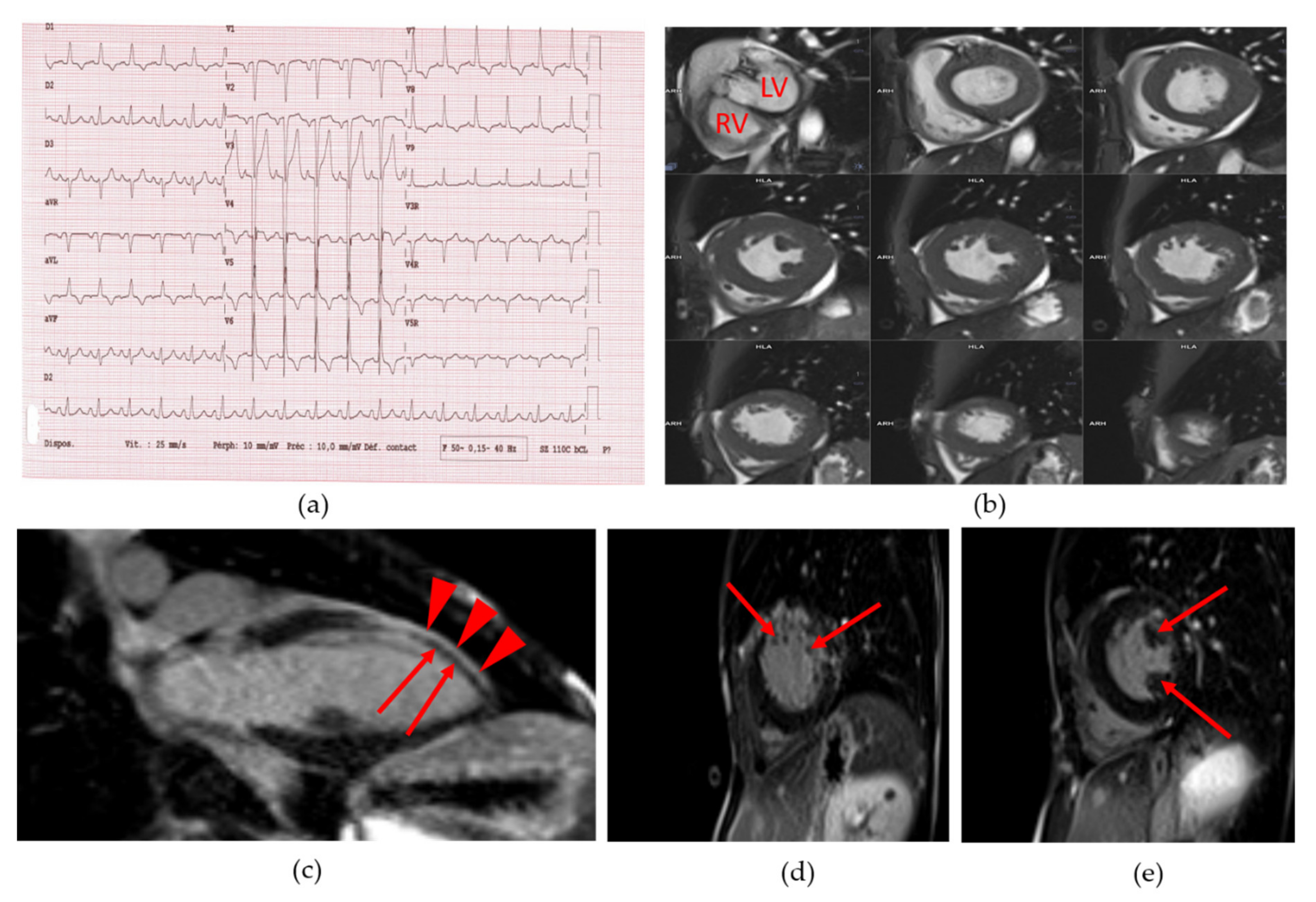 Cells 09 00765 g002 Cells 09 00765 g002