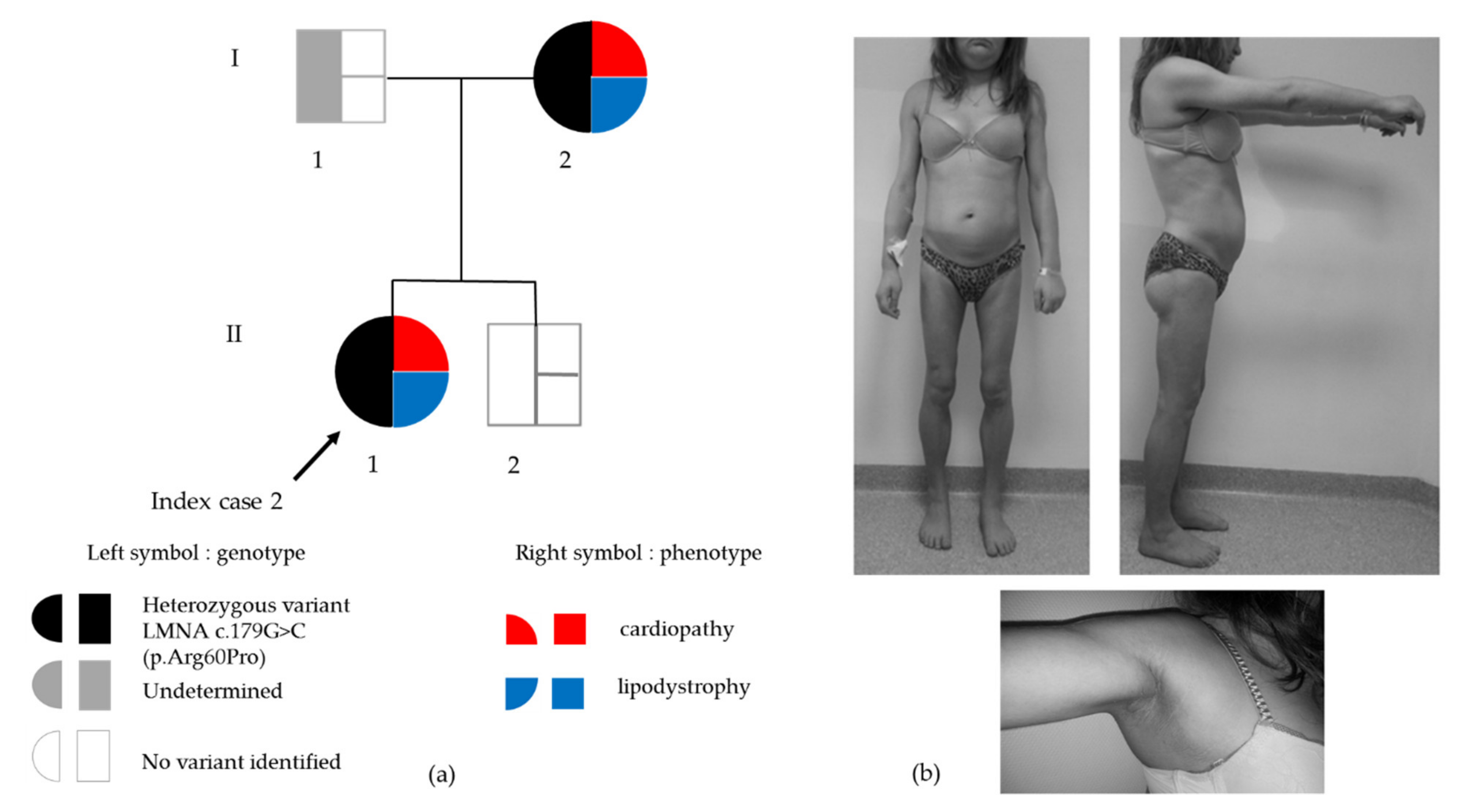 Cells 09 00765 g003 Cells 09 00765 g003