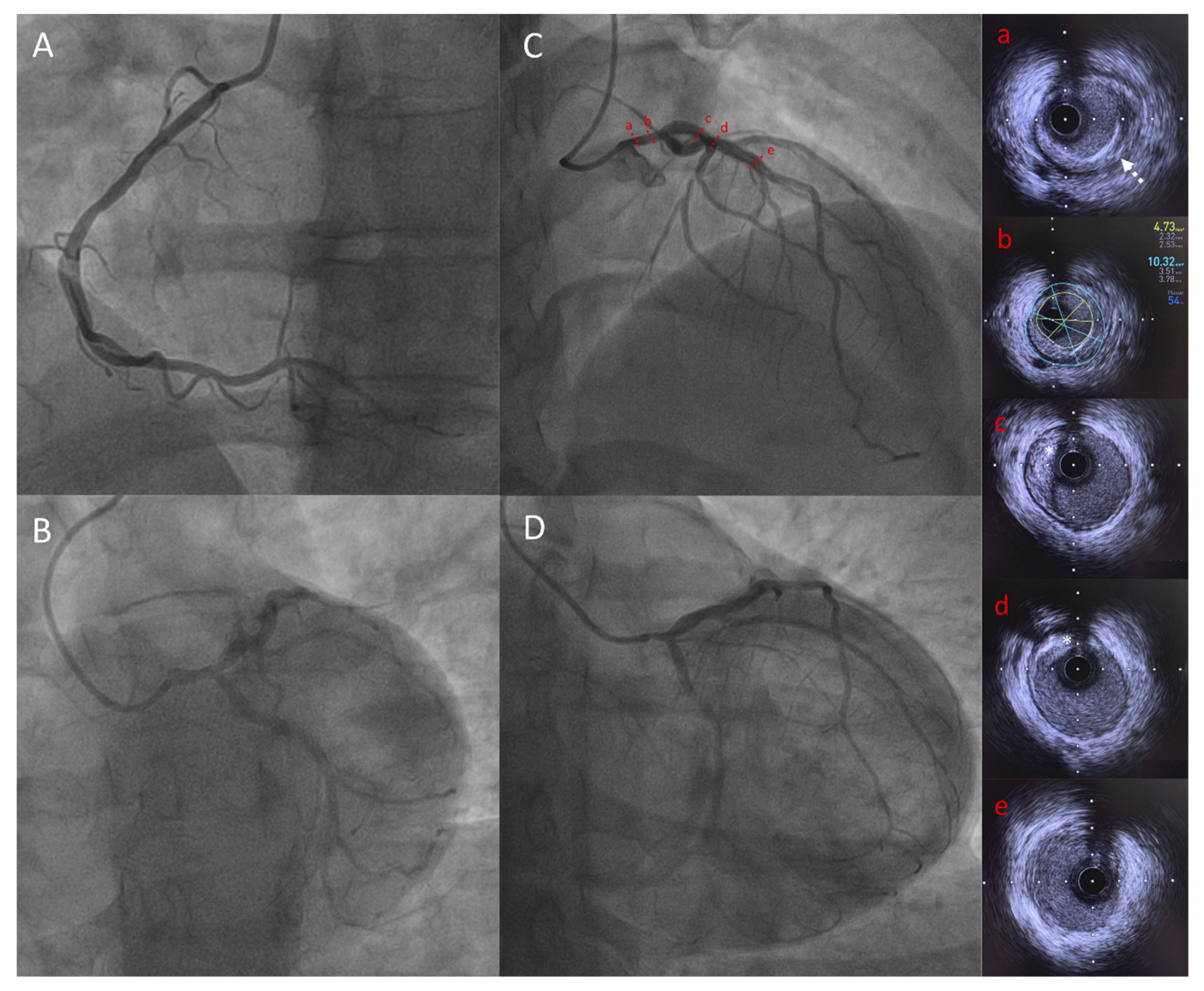 Cells 09 00765 g004 Cells 09 00765 g004