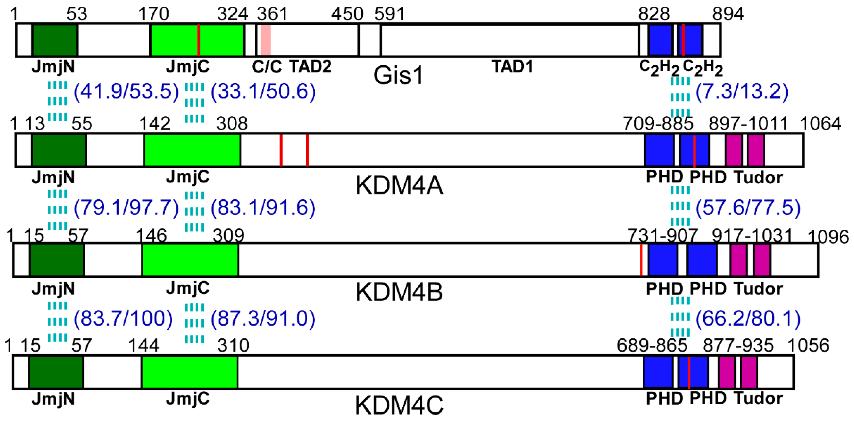 Cells 09 00773 g001 Cells 09 00773 g001