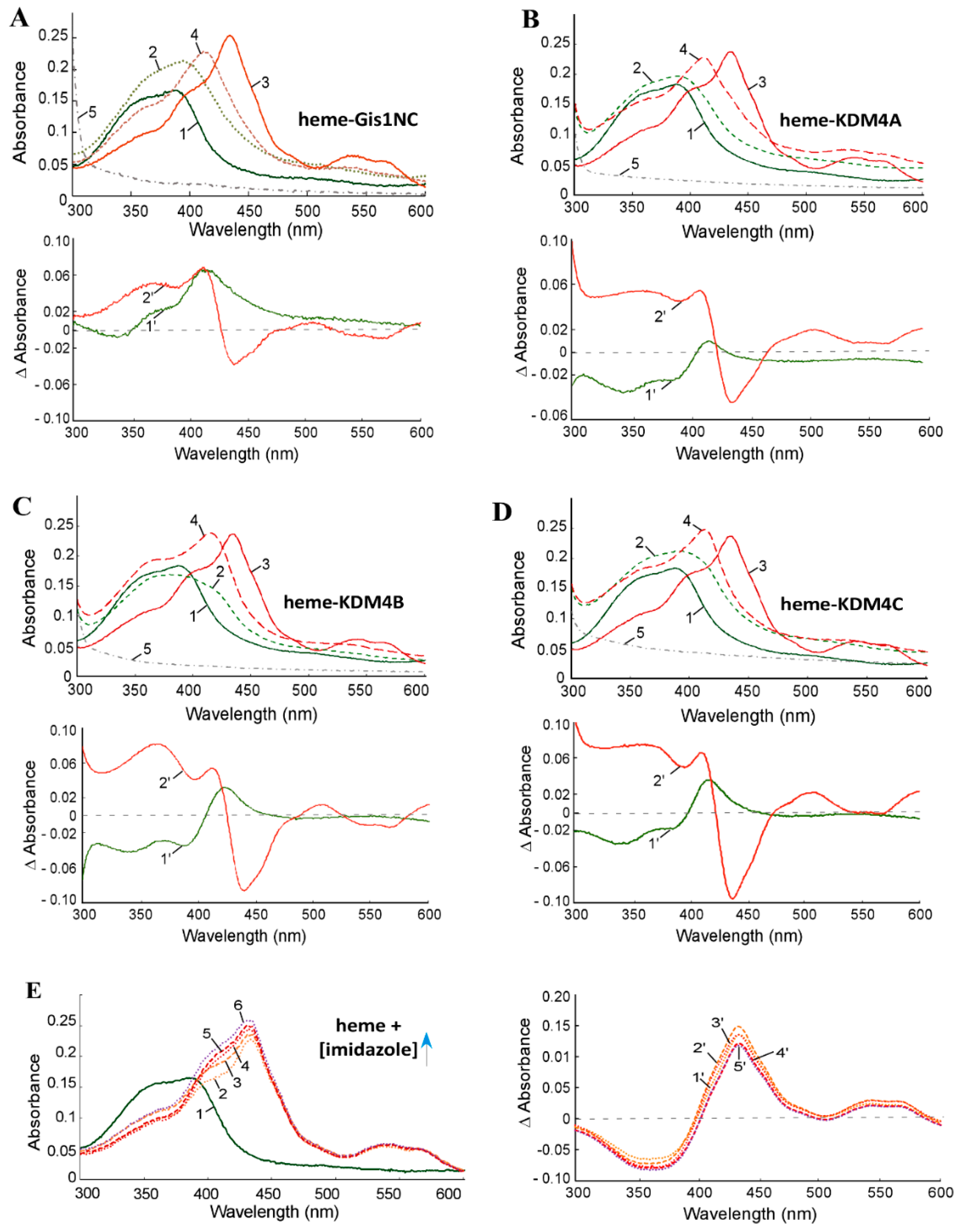 Cells 09 00773 g003 Cells 09 00773 g003