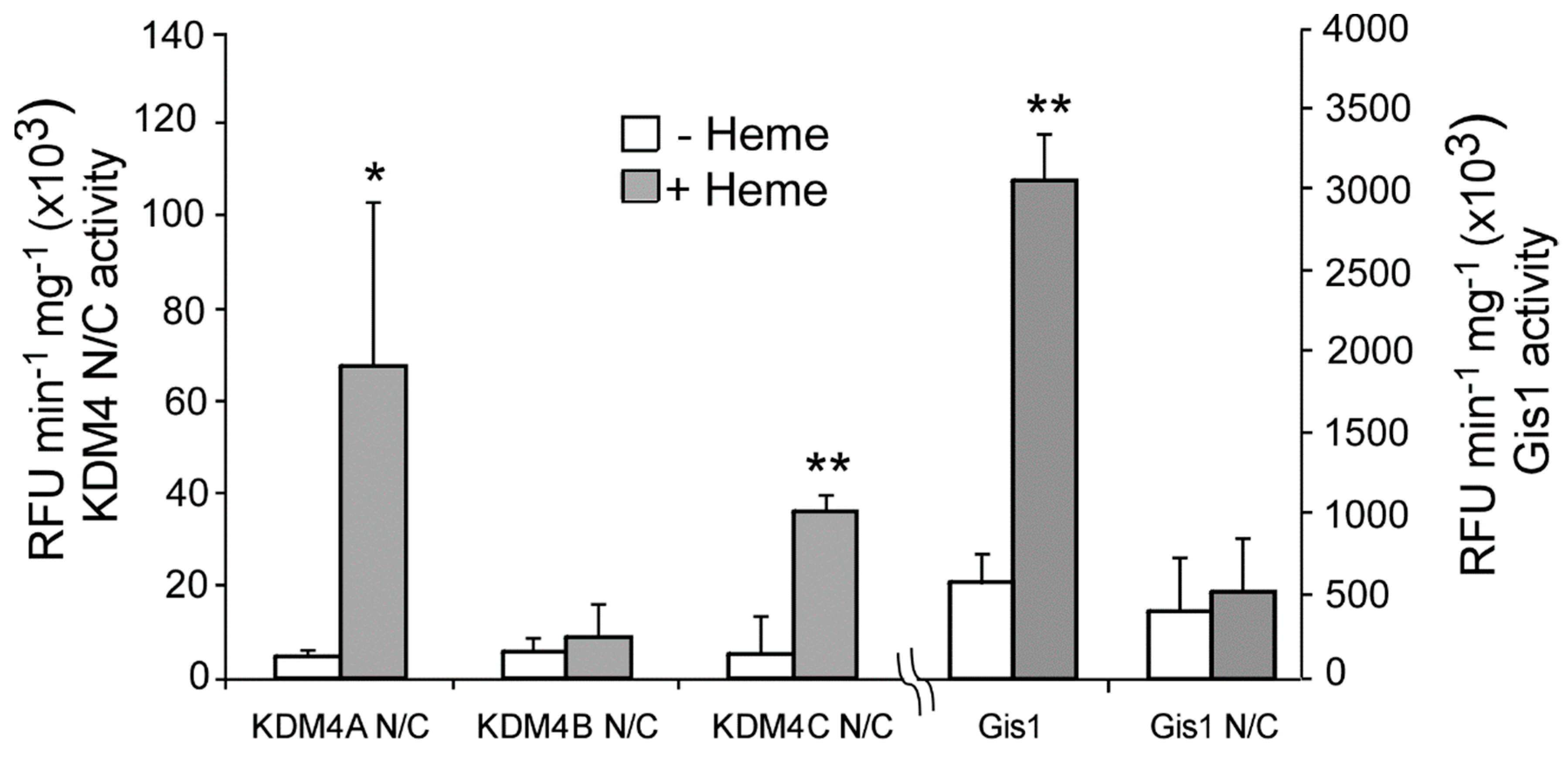 Cells 09 00773 g004 Cells 09 00773 g004