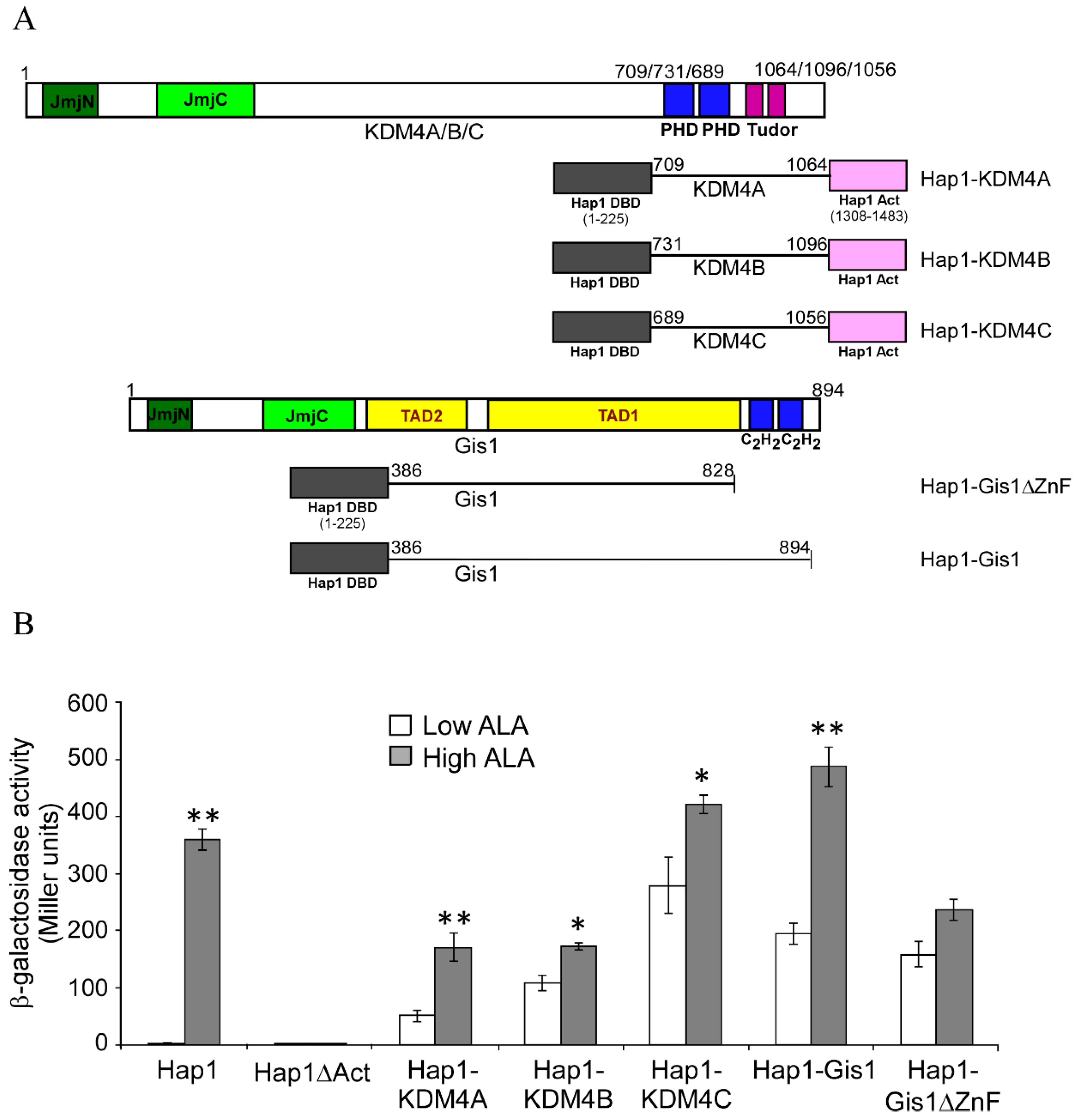 Cells 09 00773 g005 Cells 09 00773 g005