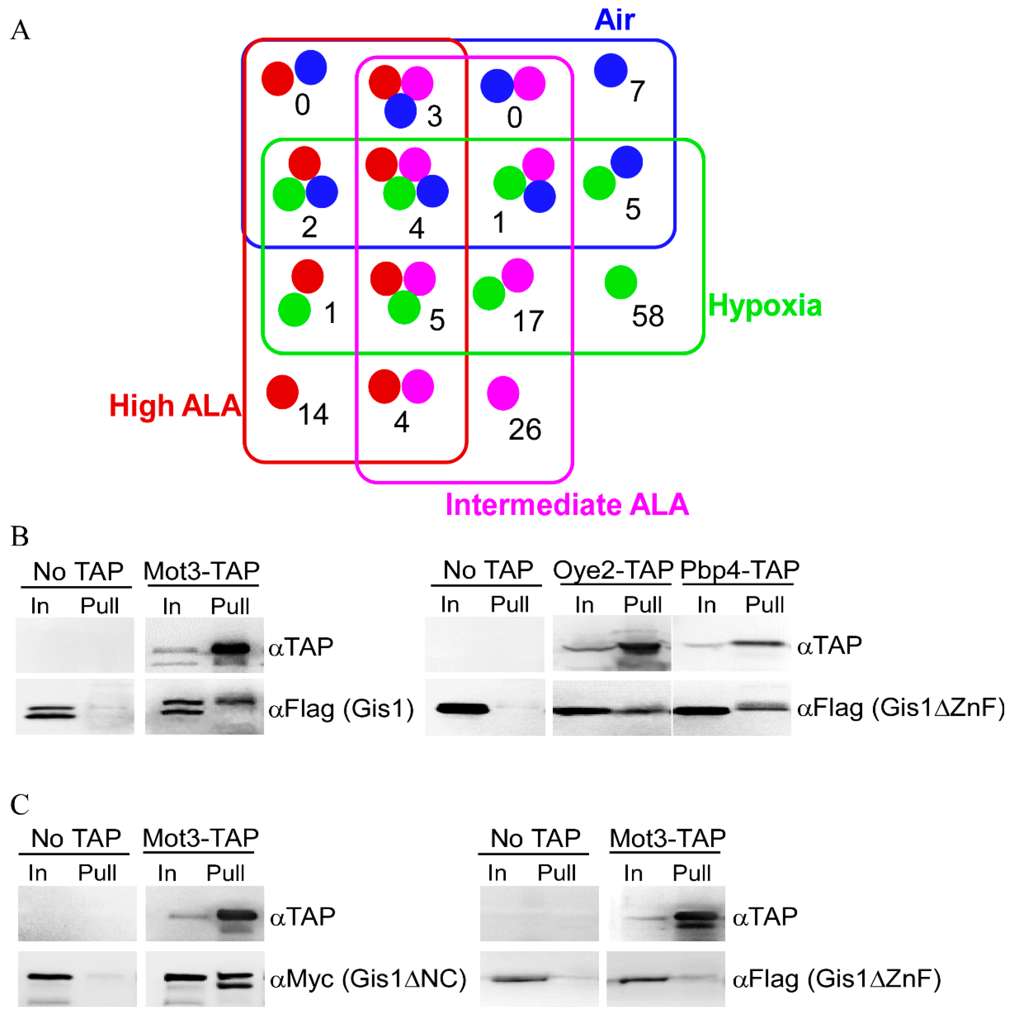 Cells 09 00773 g006 Cells 09 00773 g006