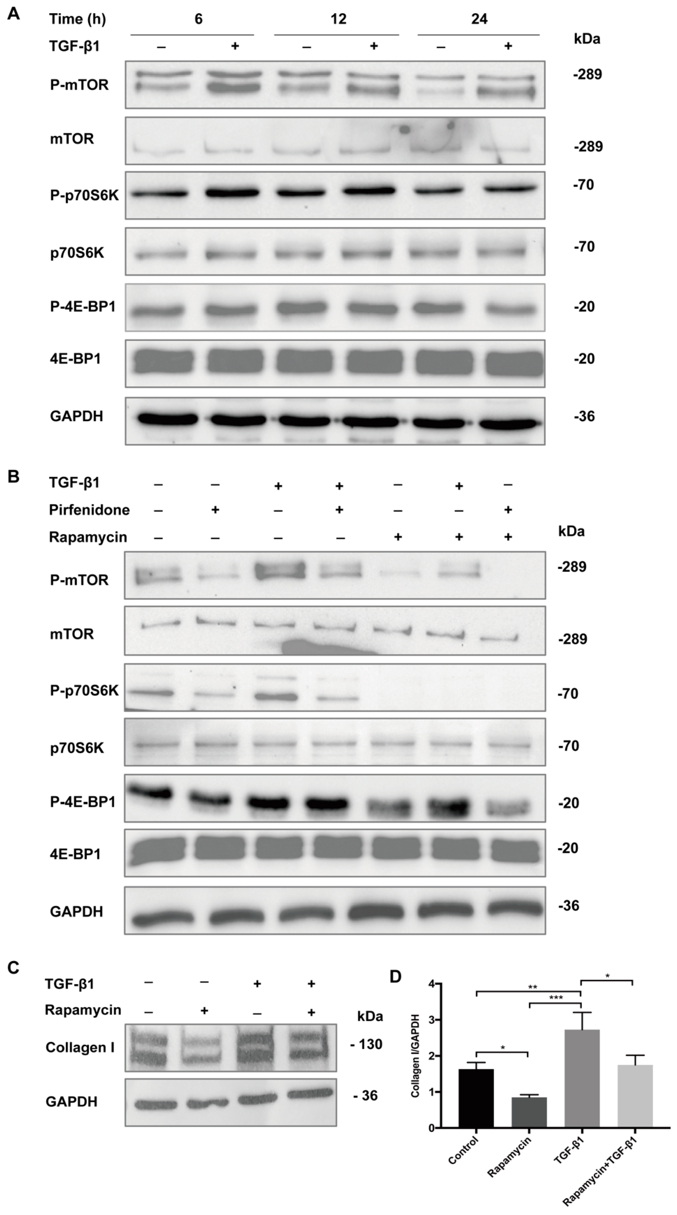 Cells 09 00775 g005 Cells 09 00775 g005