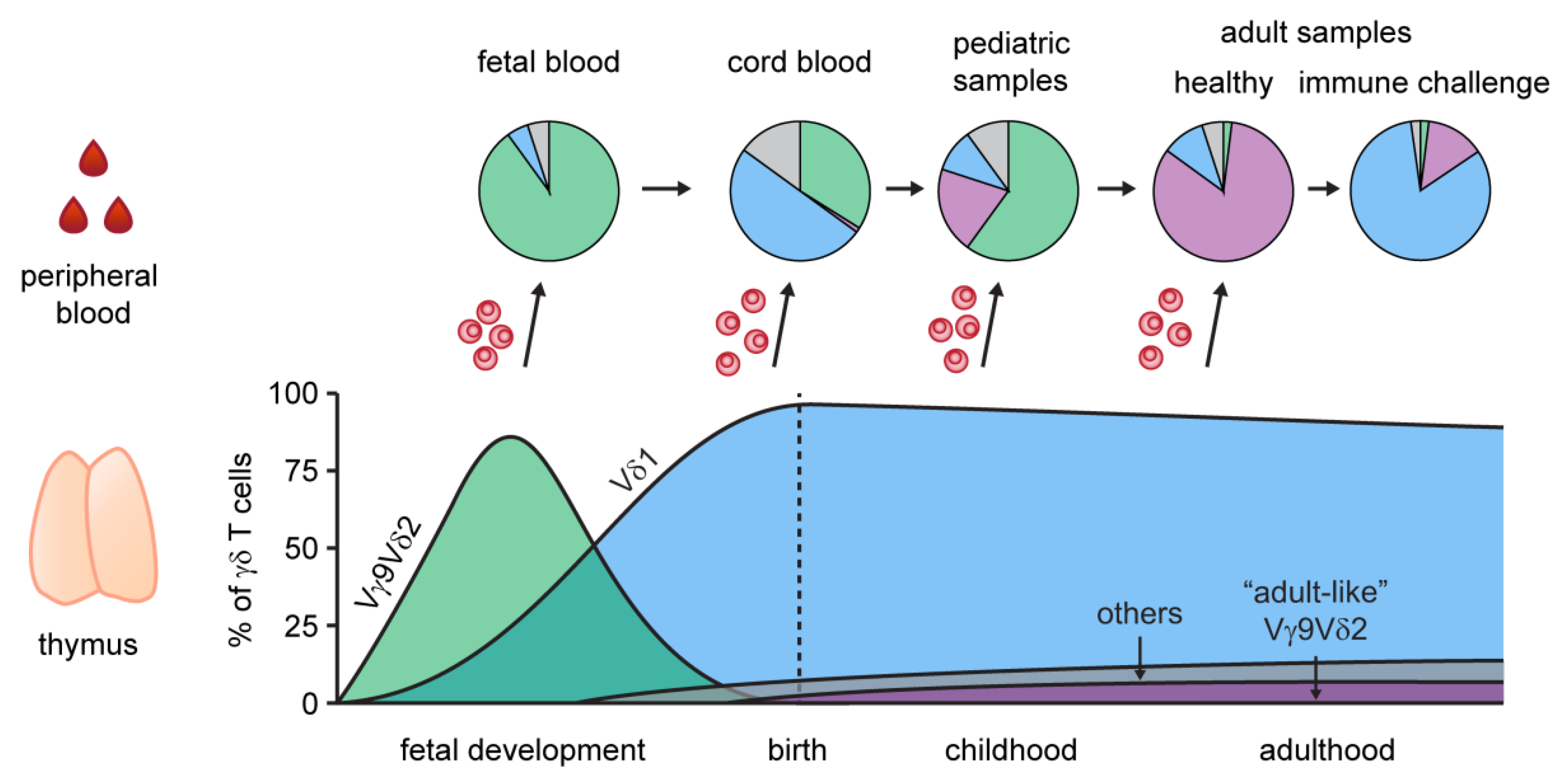 Cells 09 00800 g001 Cells 09 00800 g001