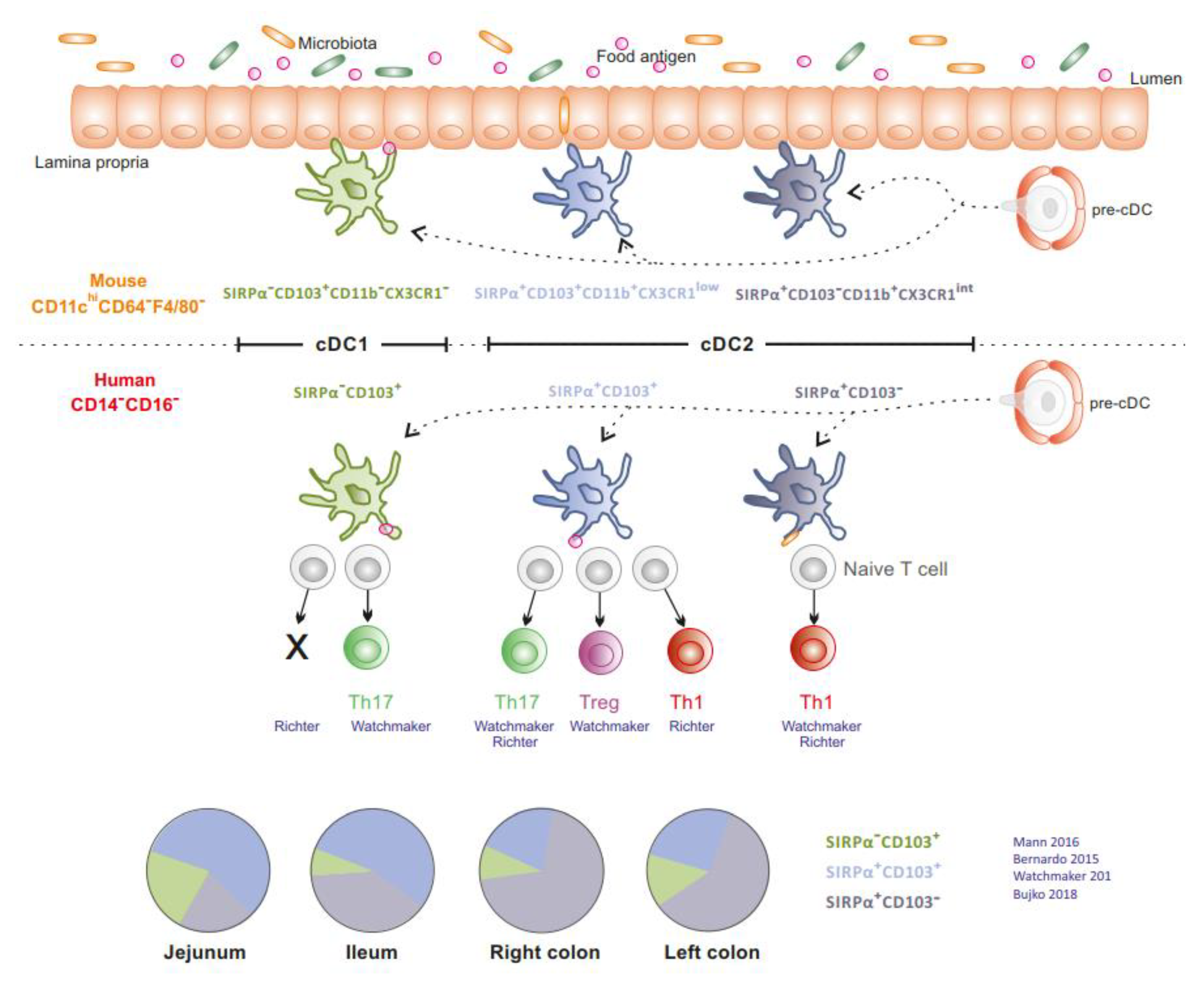 Cells 09 00813 g002 Cells 09 00813 g002
