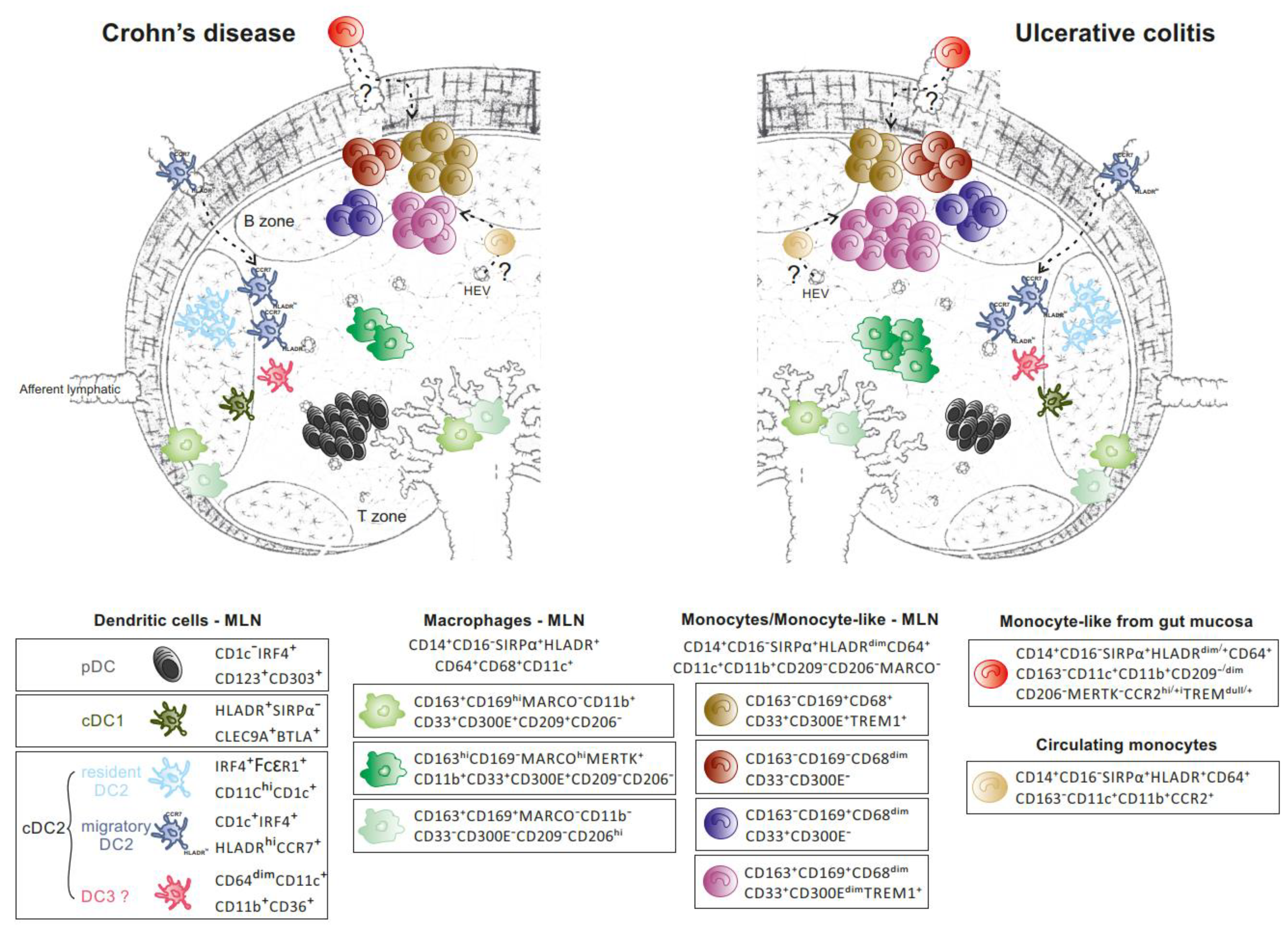 Cells 09 00813 g005 Cells 09 00813 g005