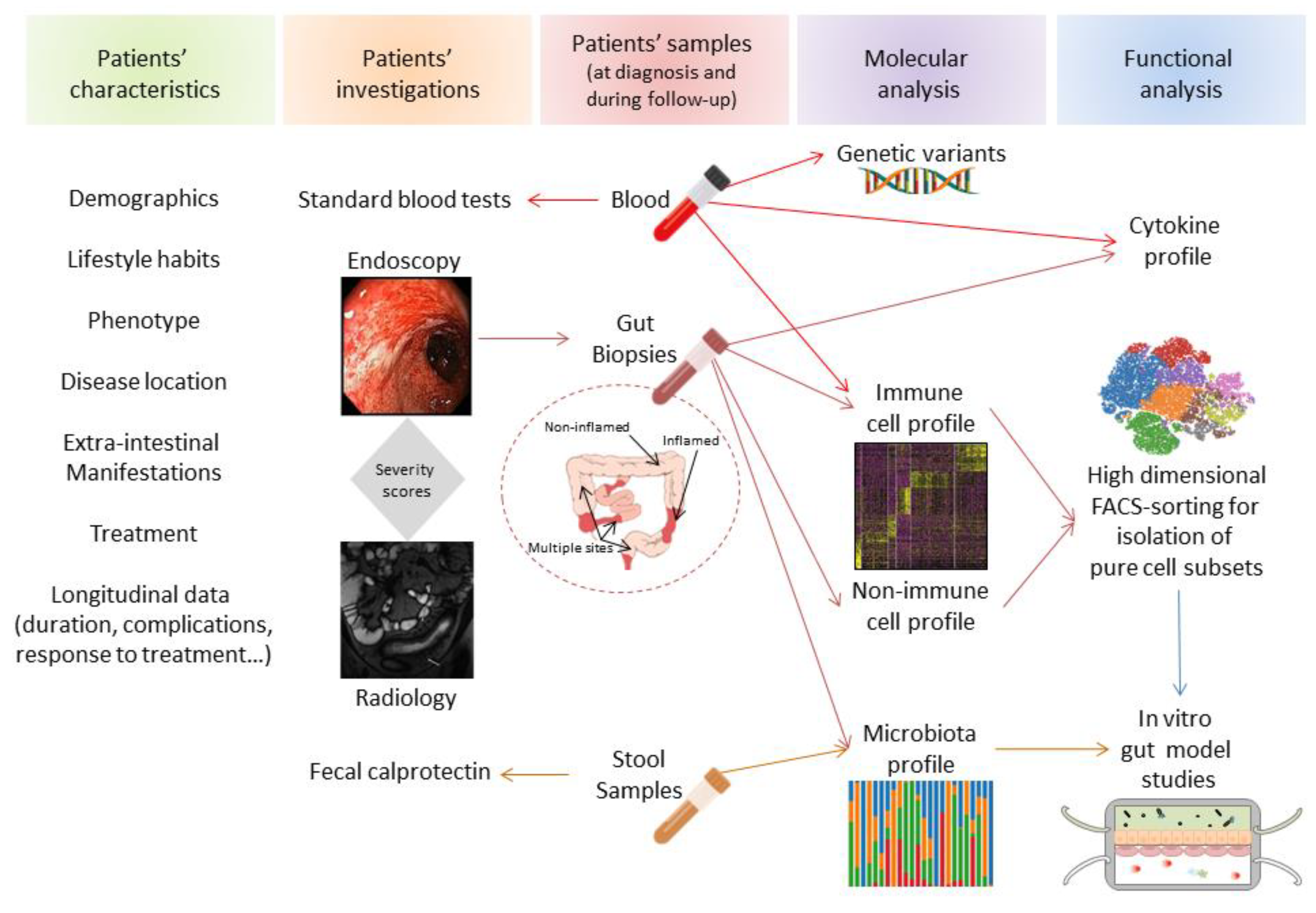 Cells 09 00813 g006 Cells 09 00813 g006
