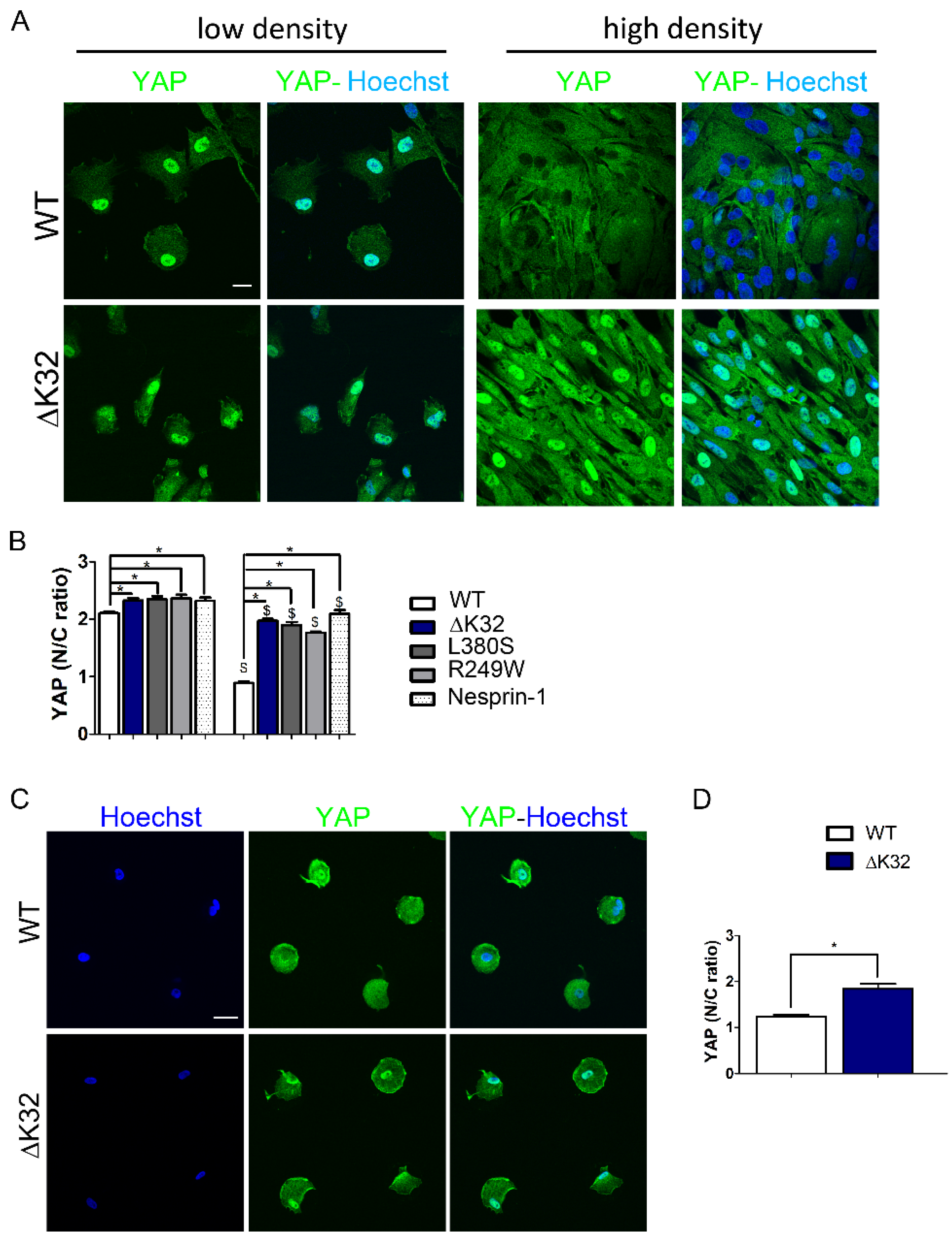 Cells 09 00816 g001 Cells 09 00816 g001