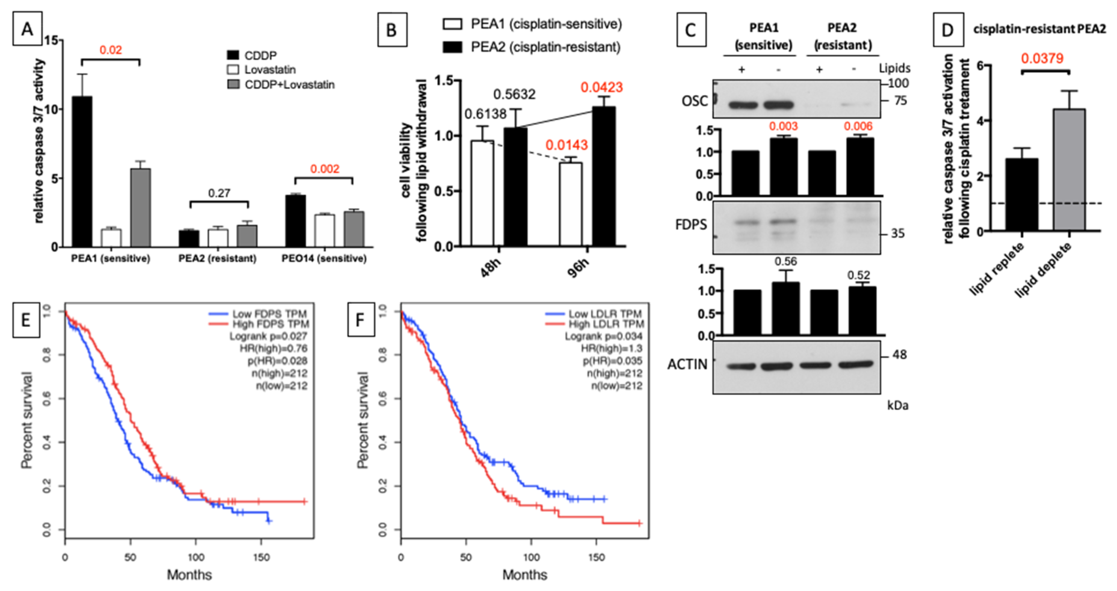 Cells 09 00828 g005 Cells 09 00828 g005