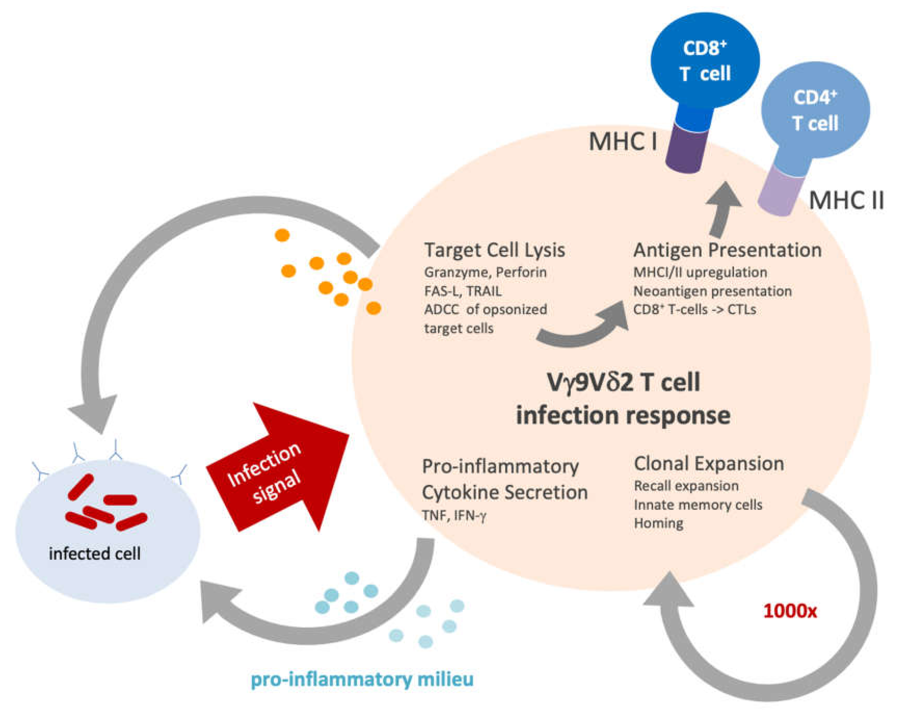 Cells 09 00829 g002 Cells 09 00829 g002
