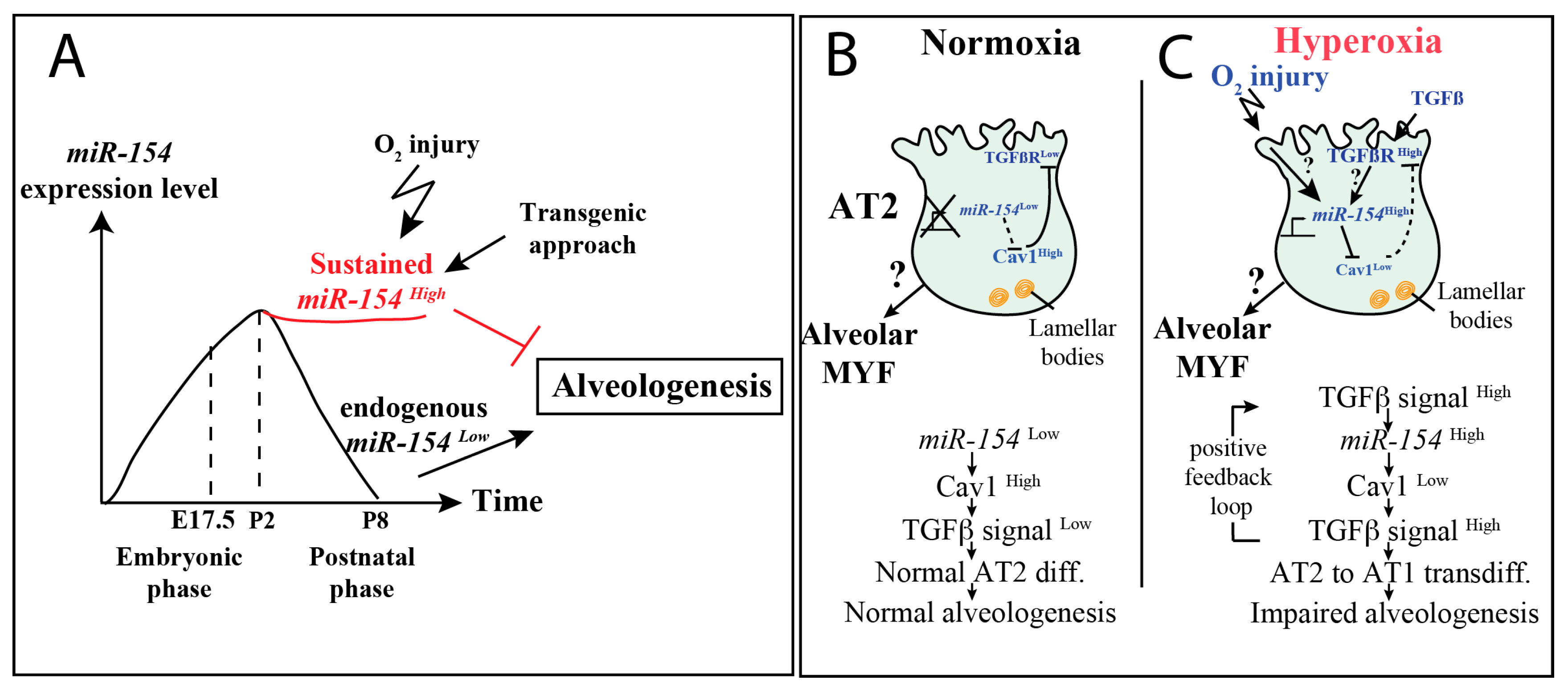 Cells 09 00859 g008