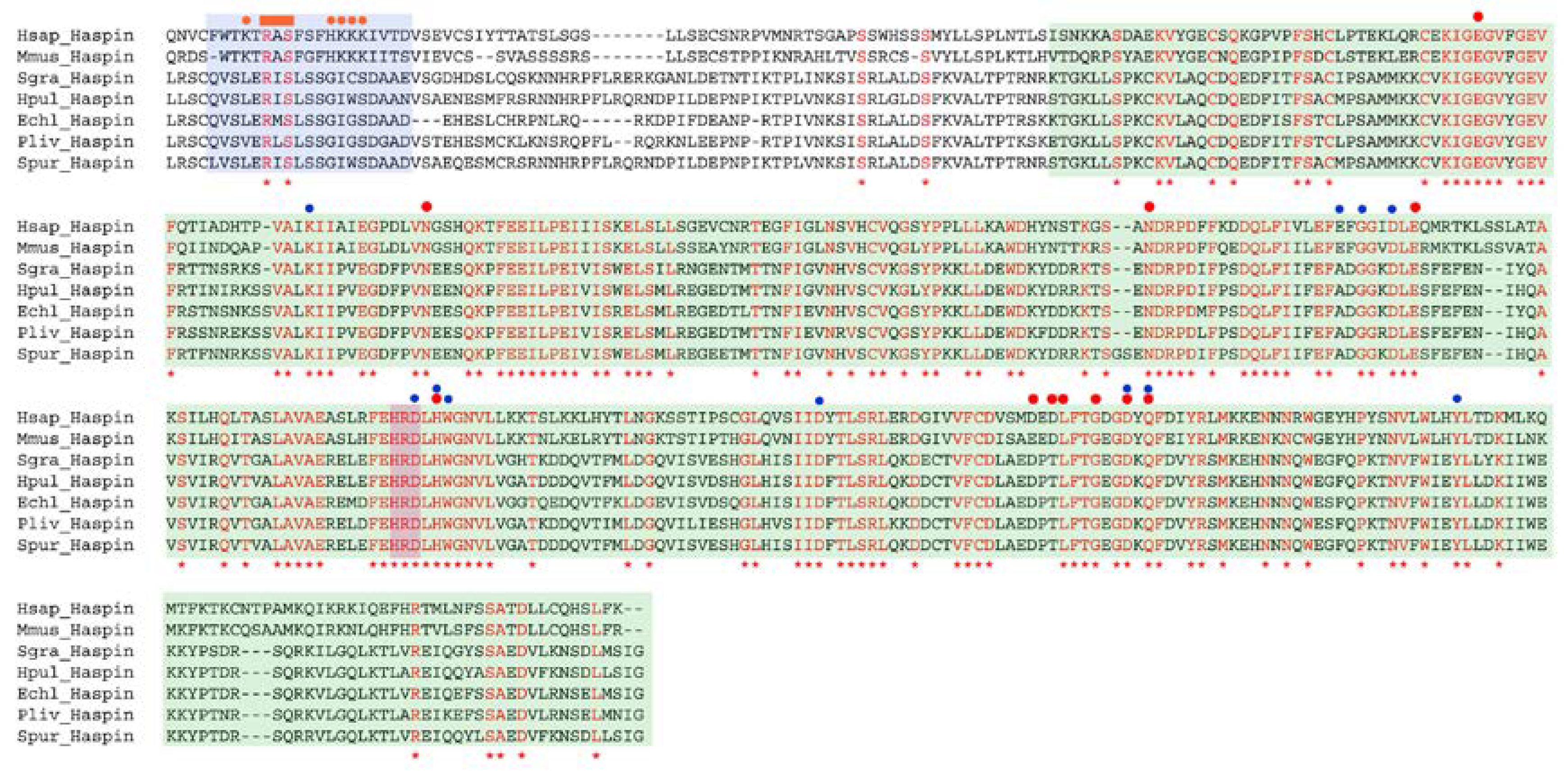 Cells 09 00898 g004 Cells 09 00898 g004
