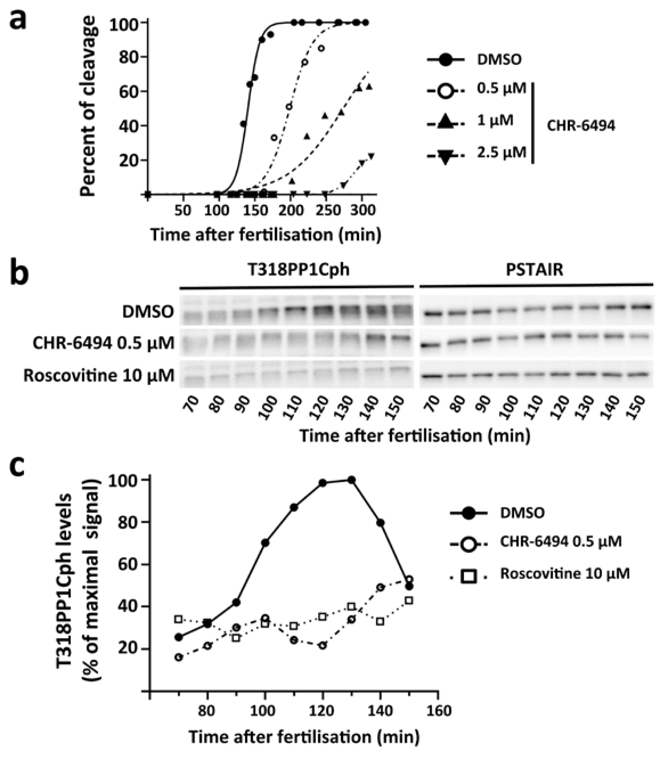 Cells 09 00898 g005 Cells 09 00898 g005