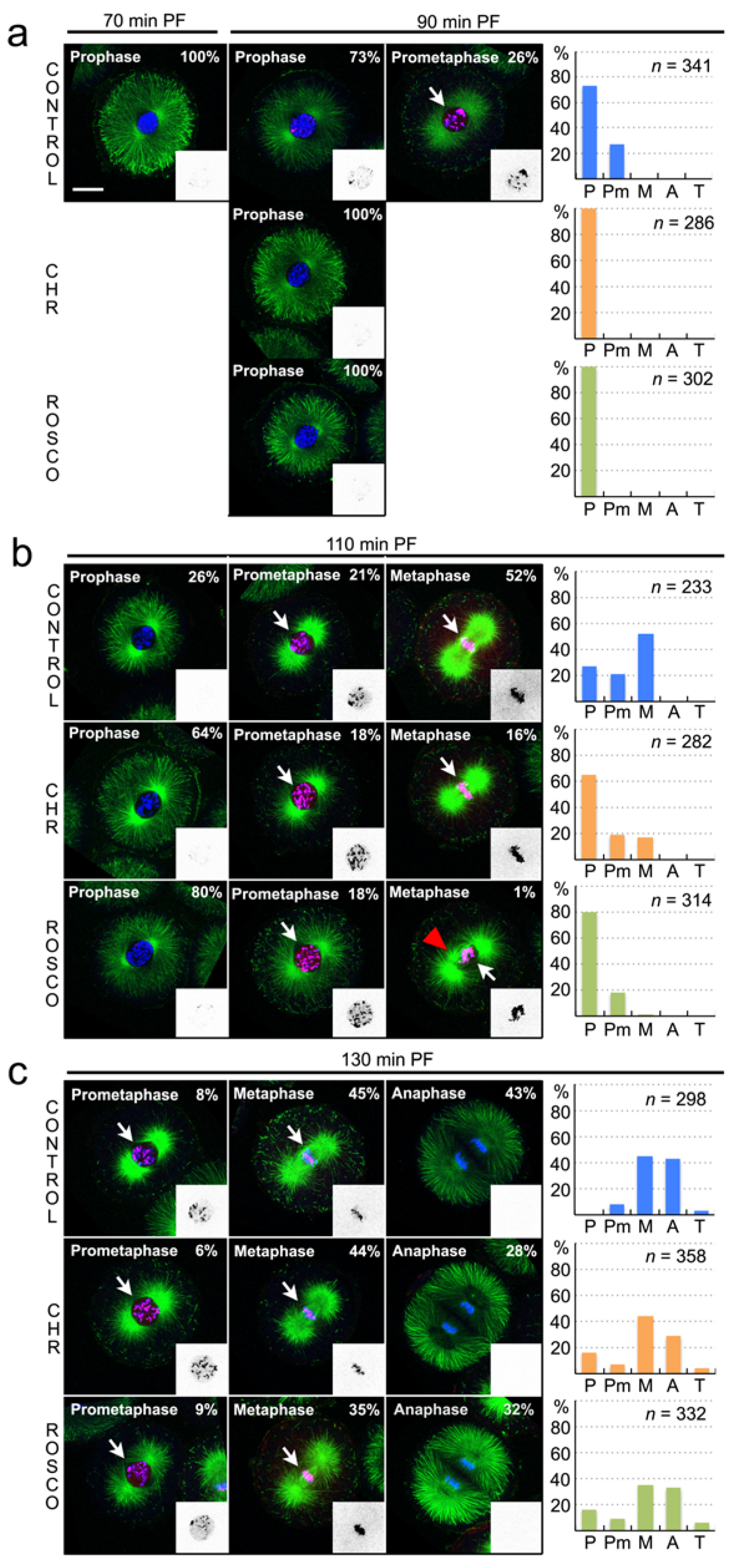 Cells 09 00898 g007 Cells 09 00898 g007