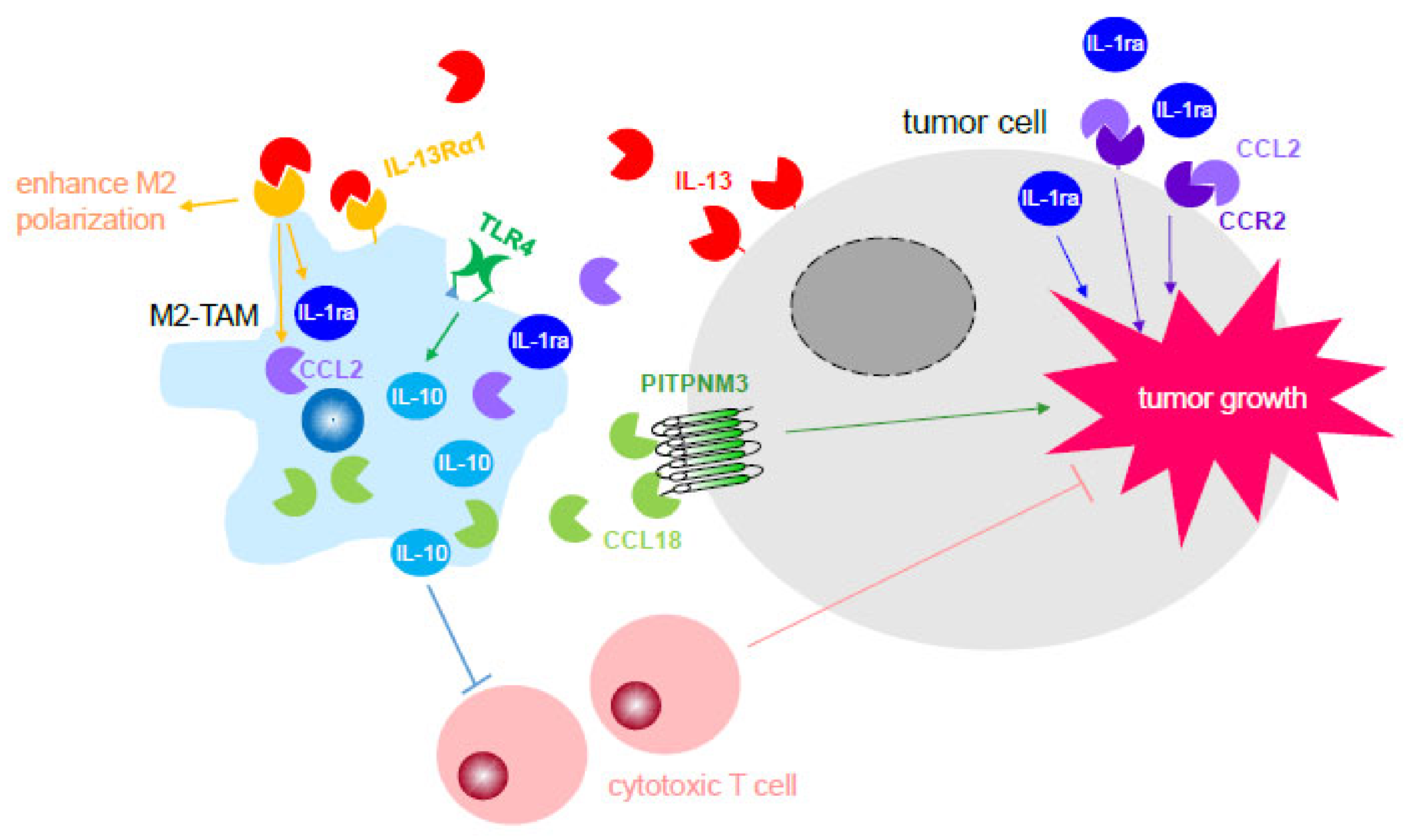 Cells 09 00919 g001