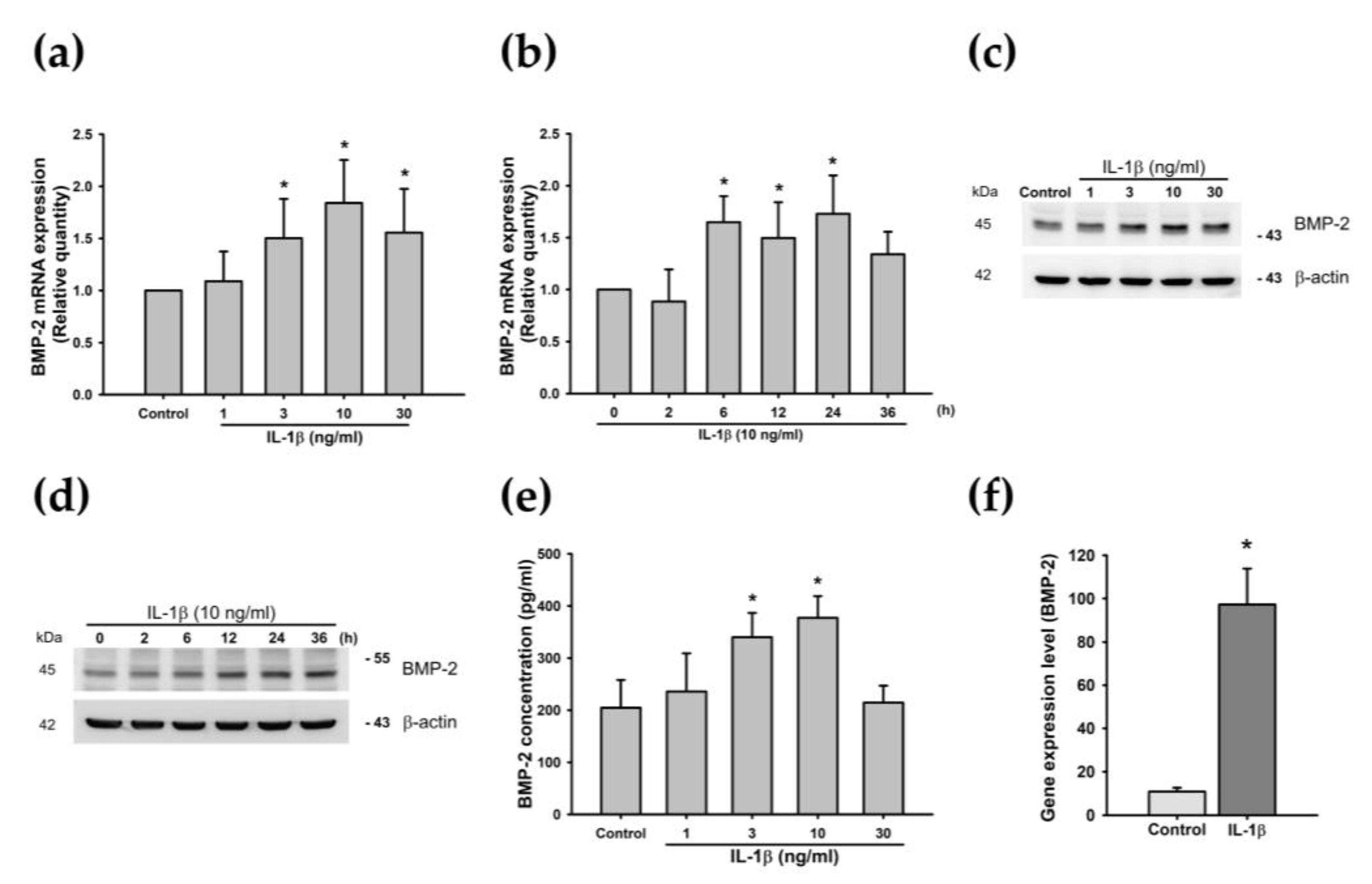 Cells 09 00927 g002 Cells 09 00927 g002