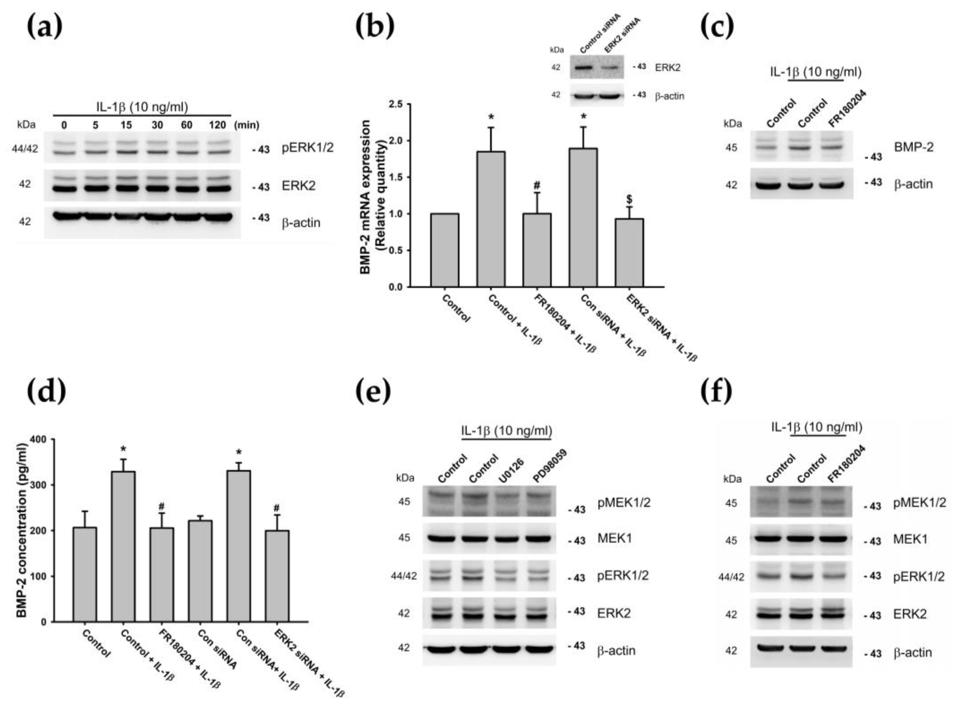 Cells 09 00927 g004 Cells 09 00927 g004