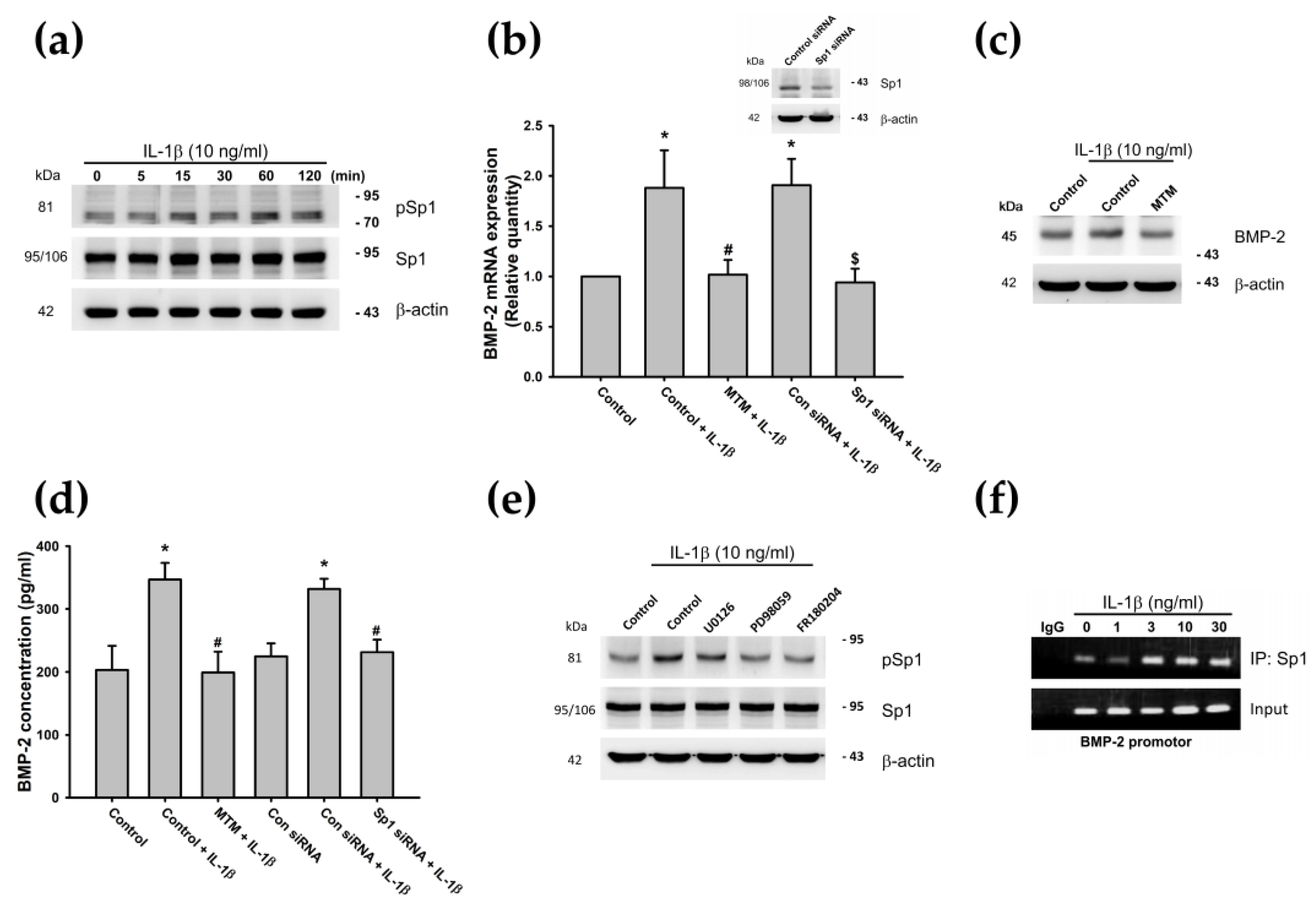 Cells 09 00927 g005 Cells 09 00927 g005