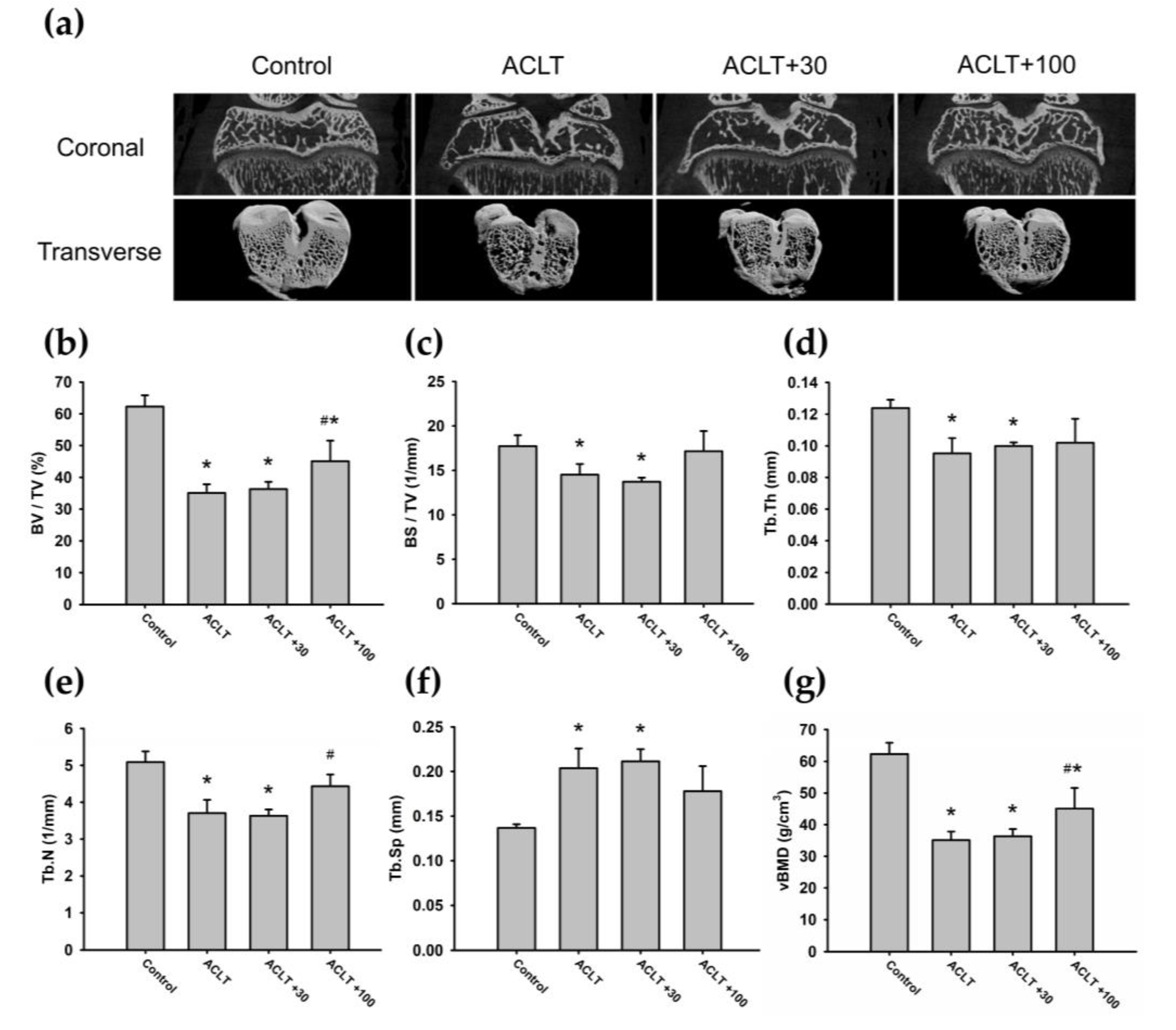 Cells 09 00927 g006 Cells 09 00927 g006