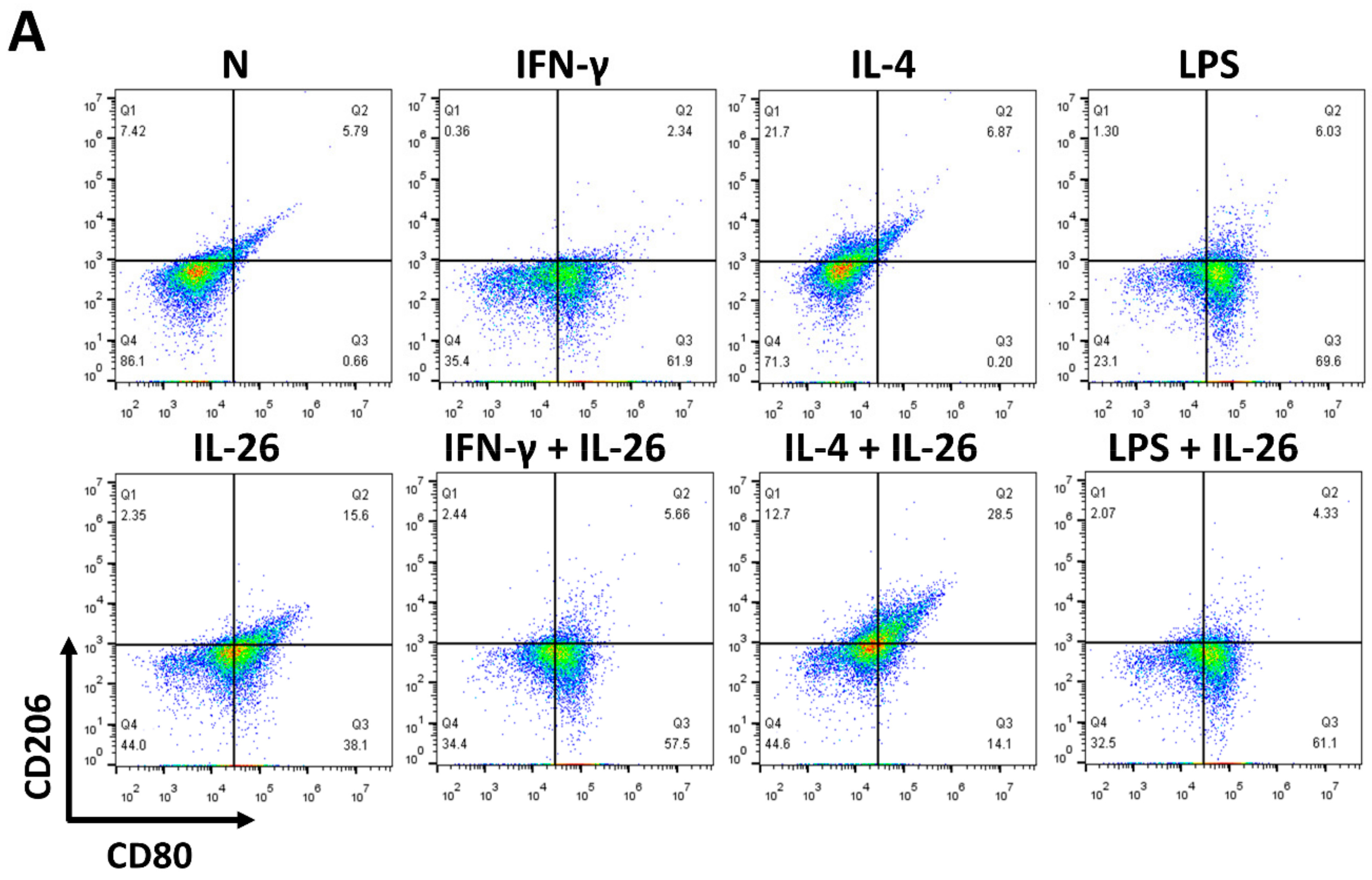 Cells 09 00938 g001a Cells 09 00938 g001a