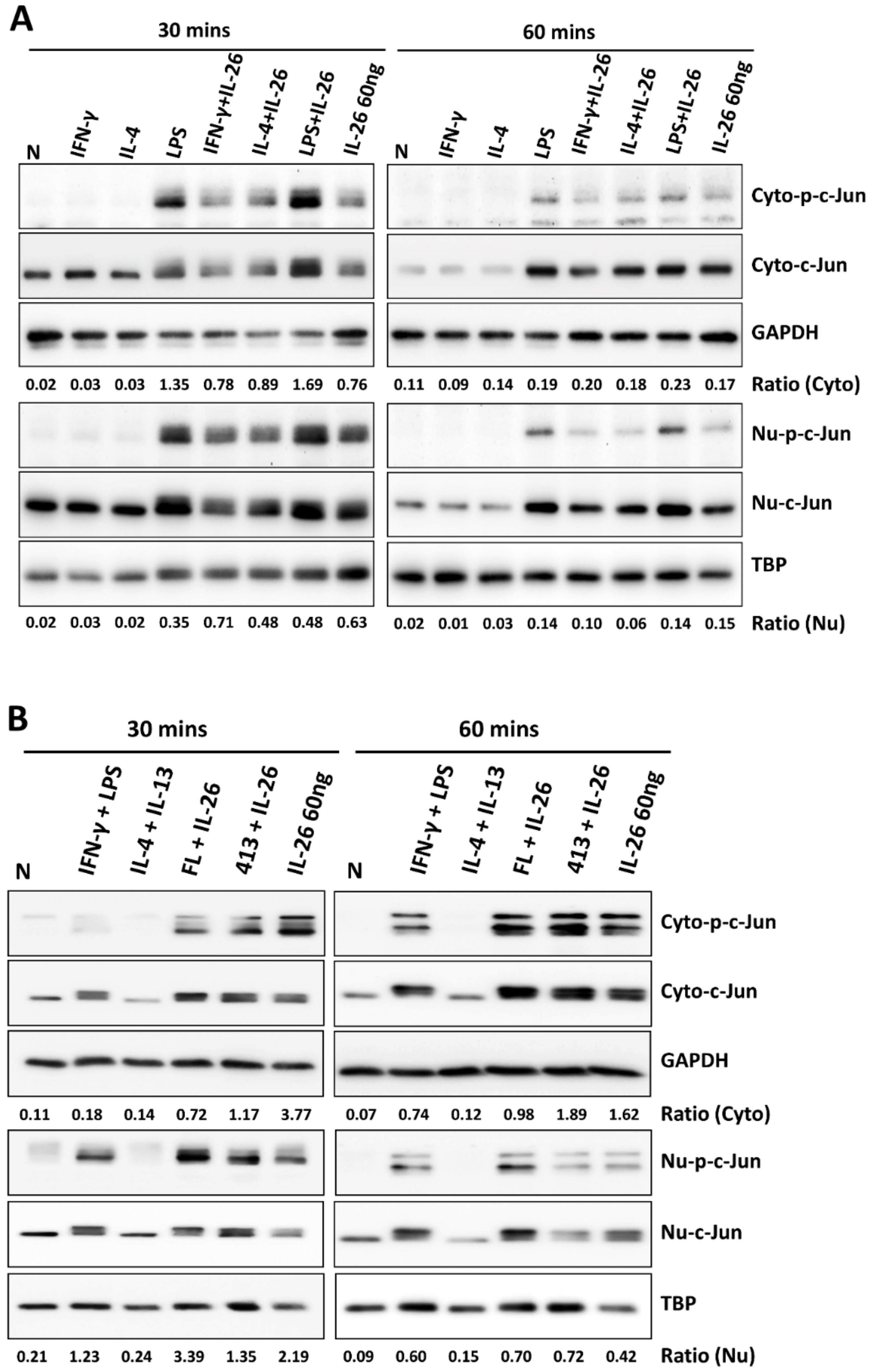 Cells 09 00938 g005a Cells 09 00938 g005a