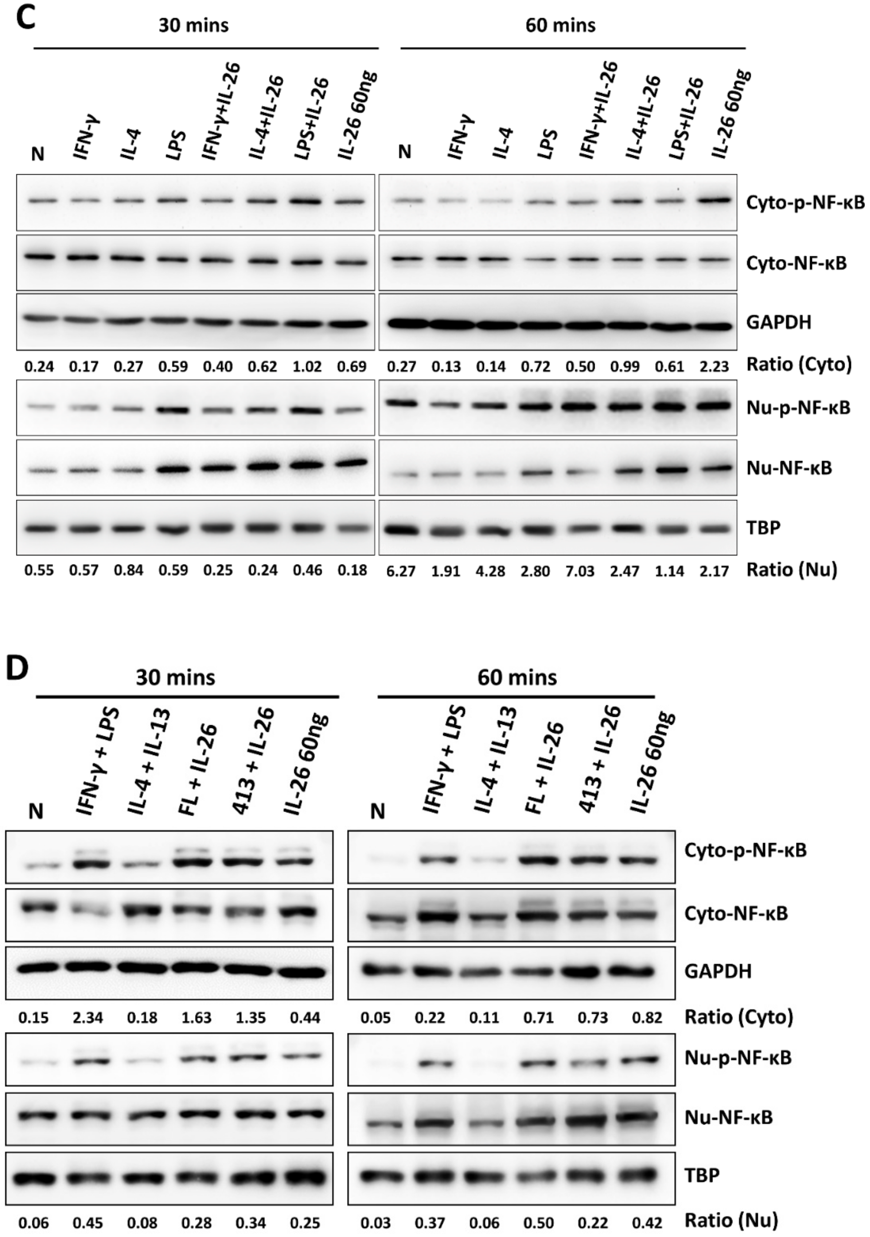 Cells 09 00938 g005b Cells 09 00938 g005b