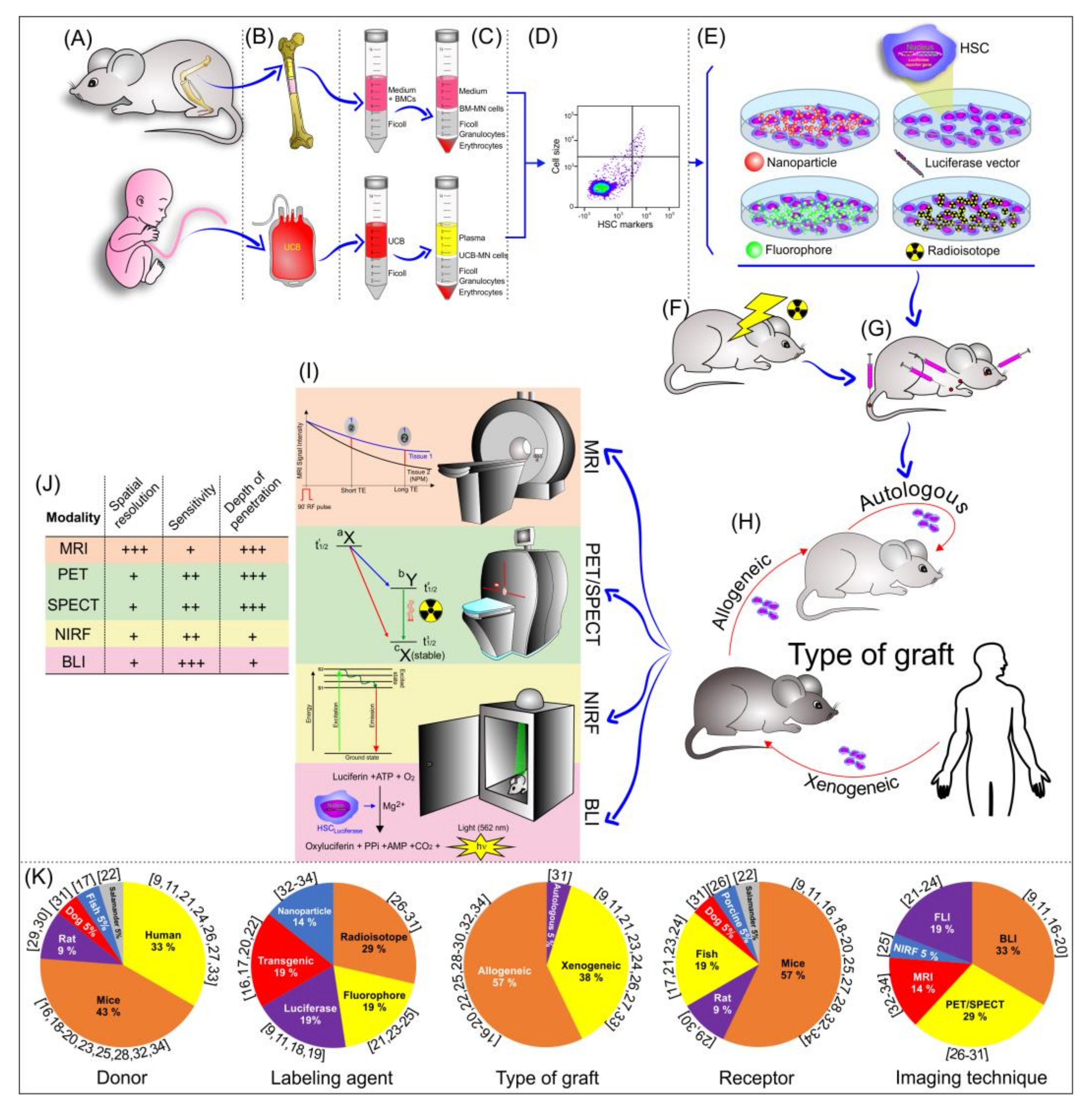 Cells 09 00939 g002 Cells 09 00939 g002