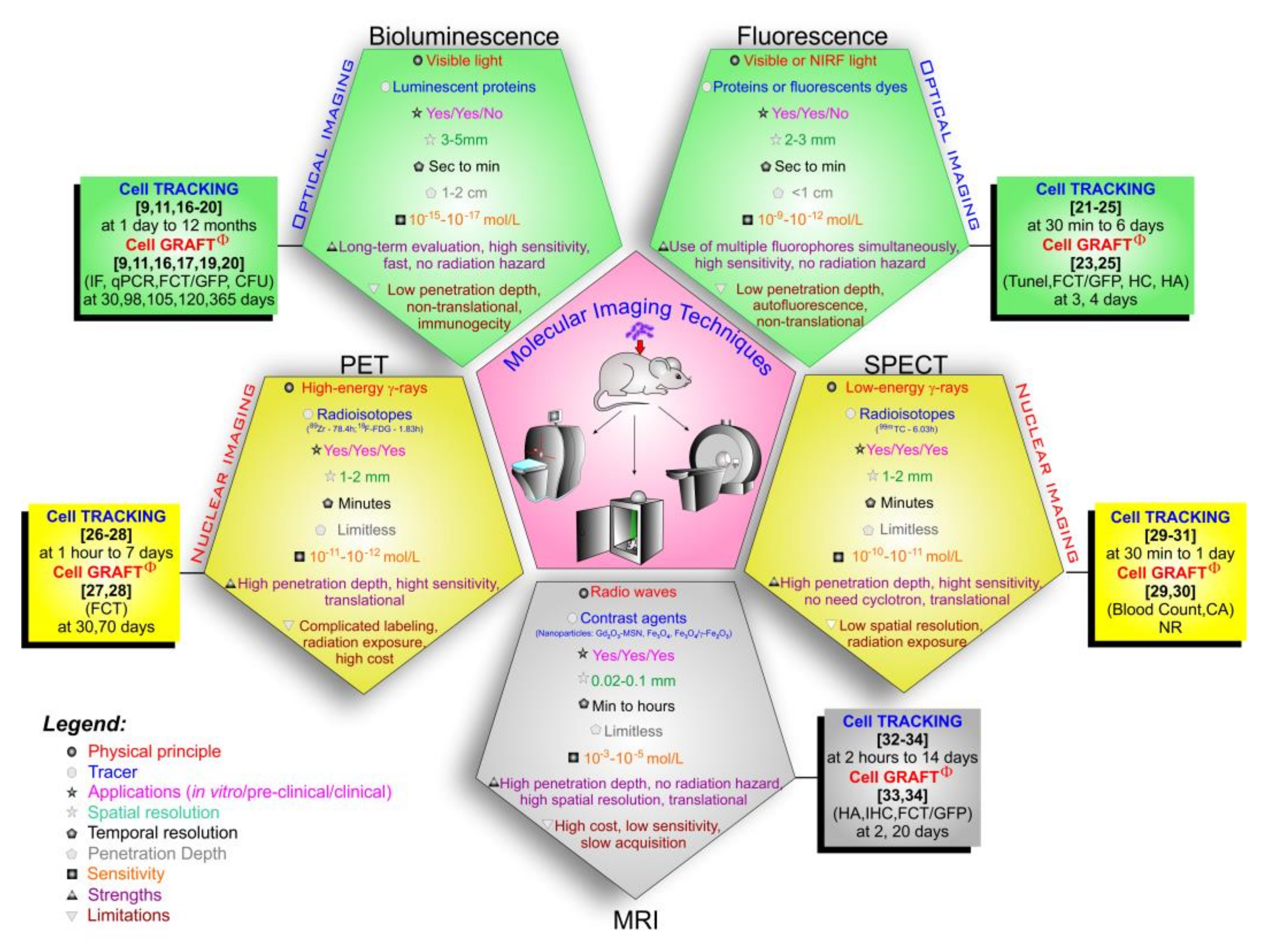 Cells 09 00939 g003 Cells 09 00939 g003