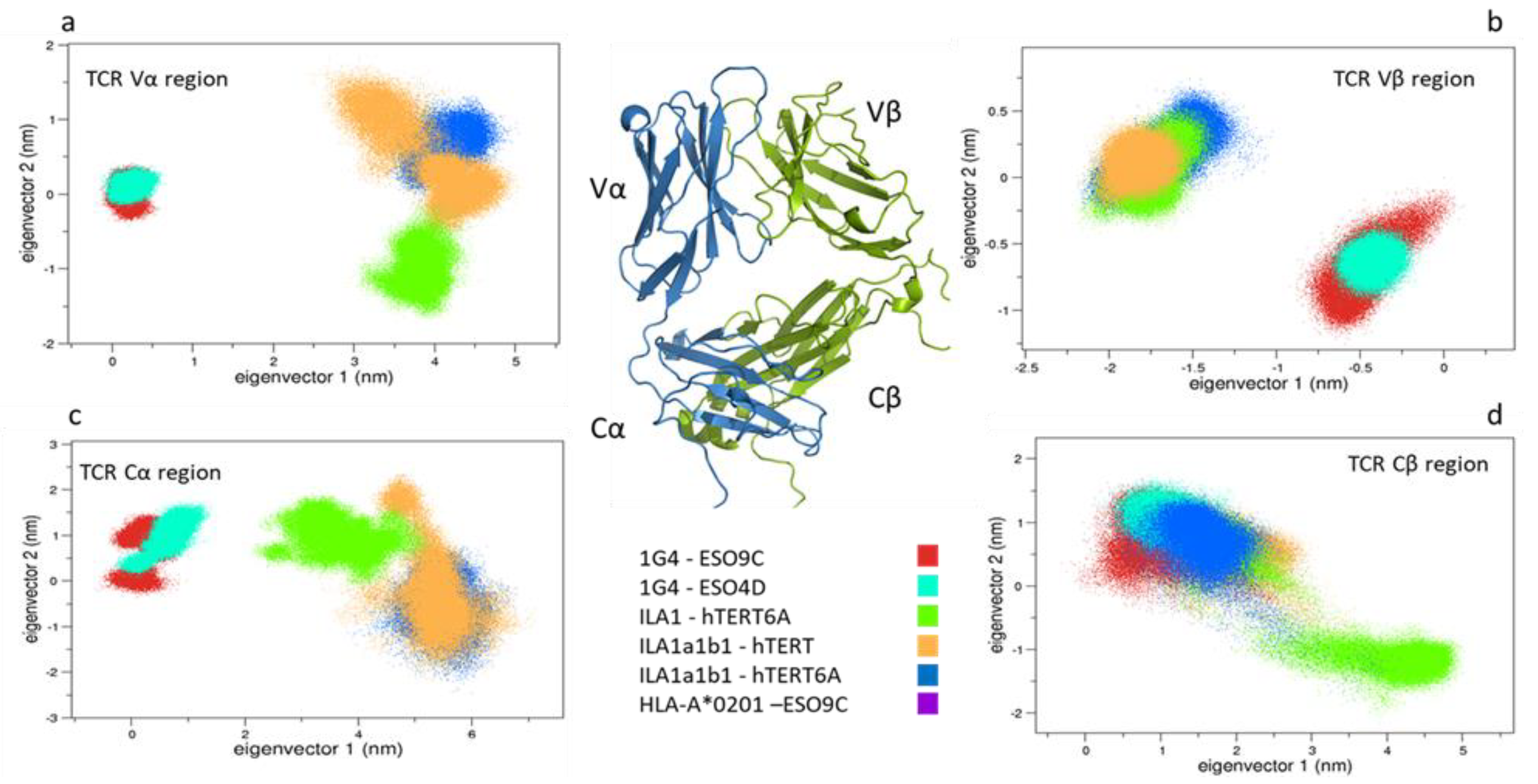 Cells 09 00942 g005 Cells 09 00942 g005