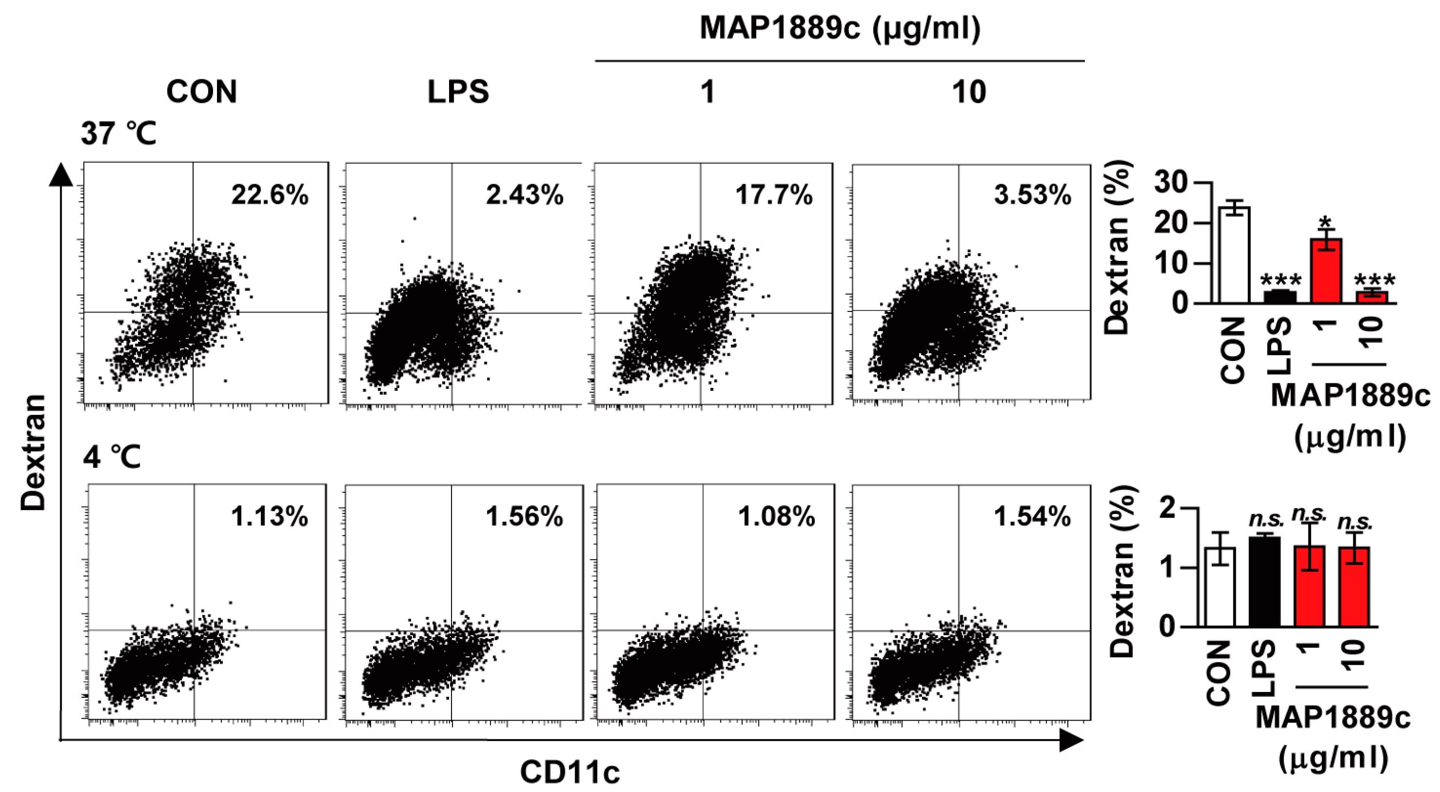 Cells 09 00944 g002