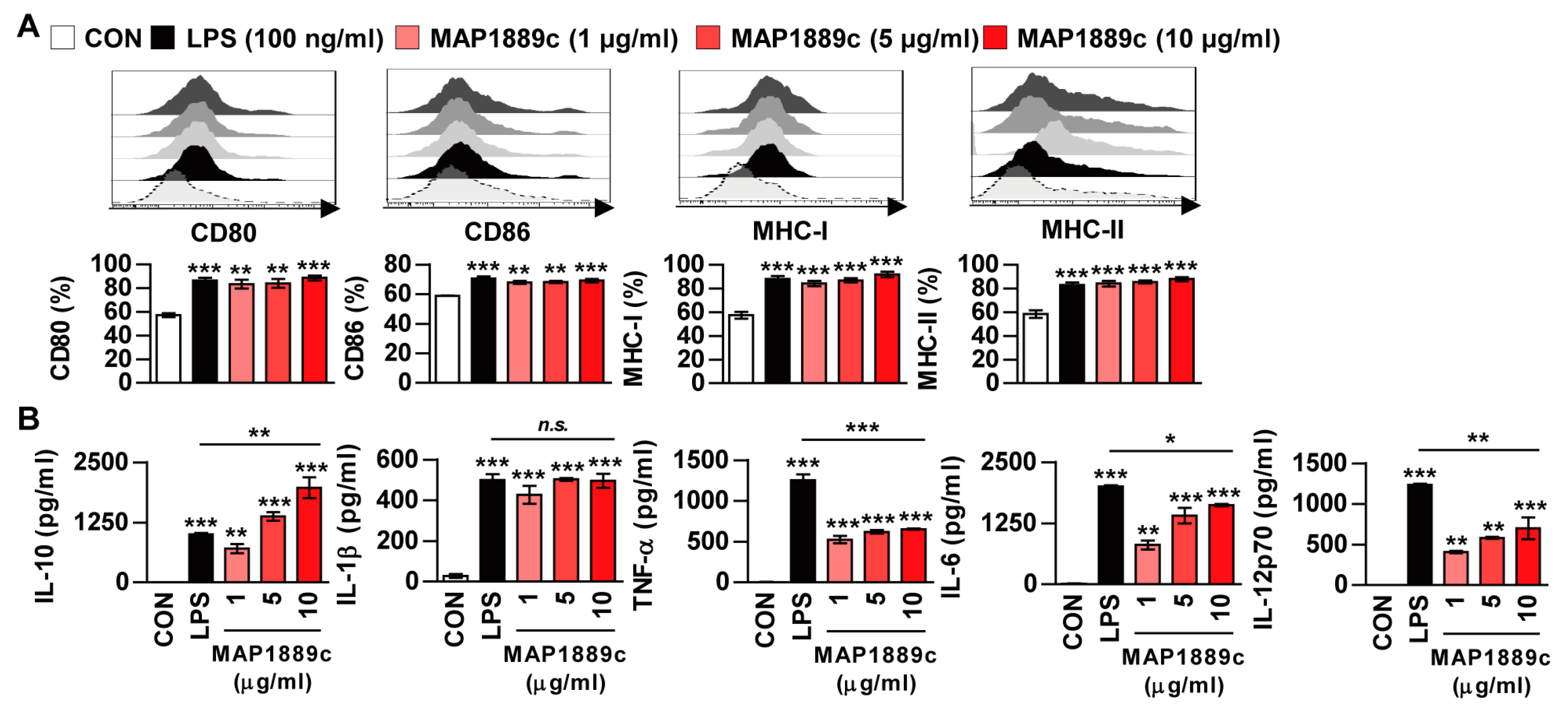 Cells 09 00944 g003