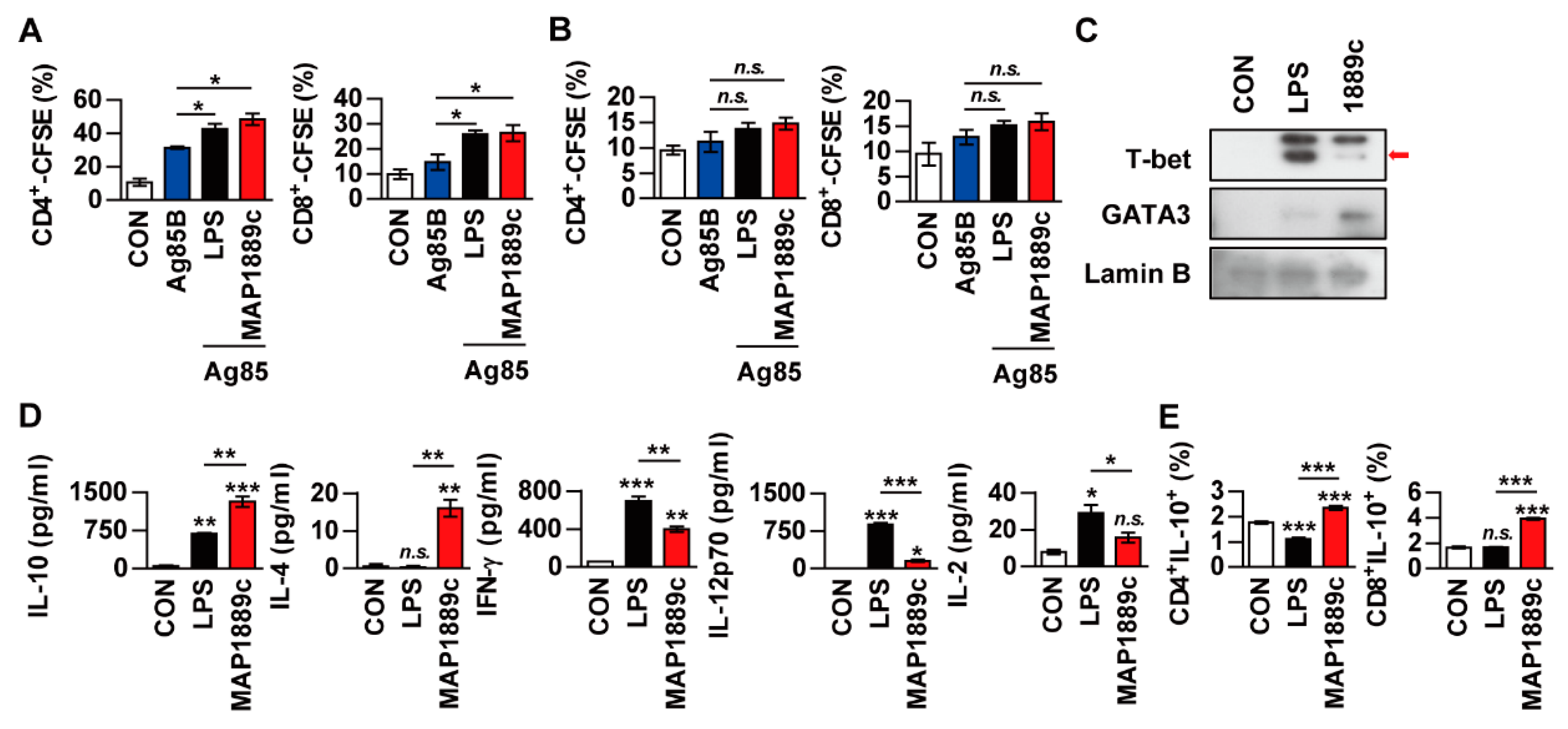 Cells 09 00944 g006