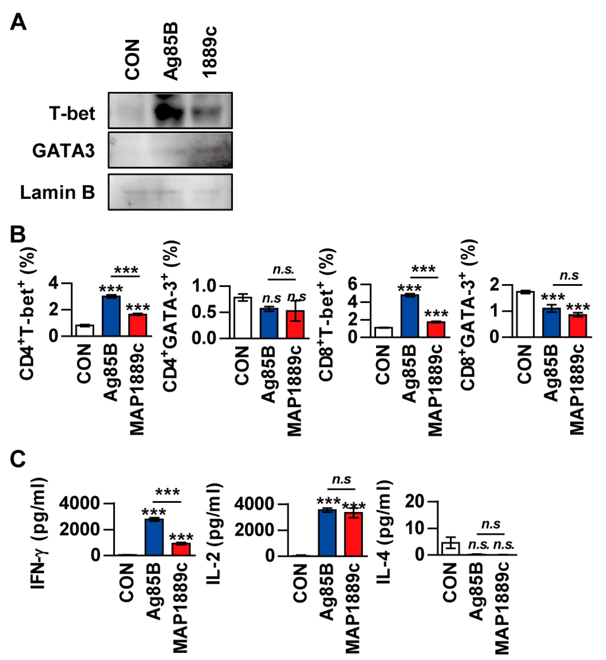 Cells 09 00944 g007