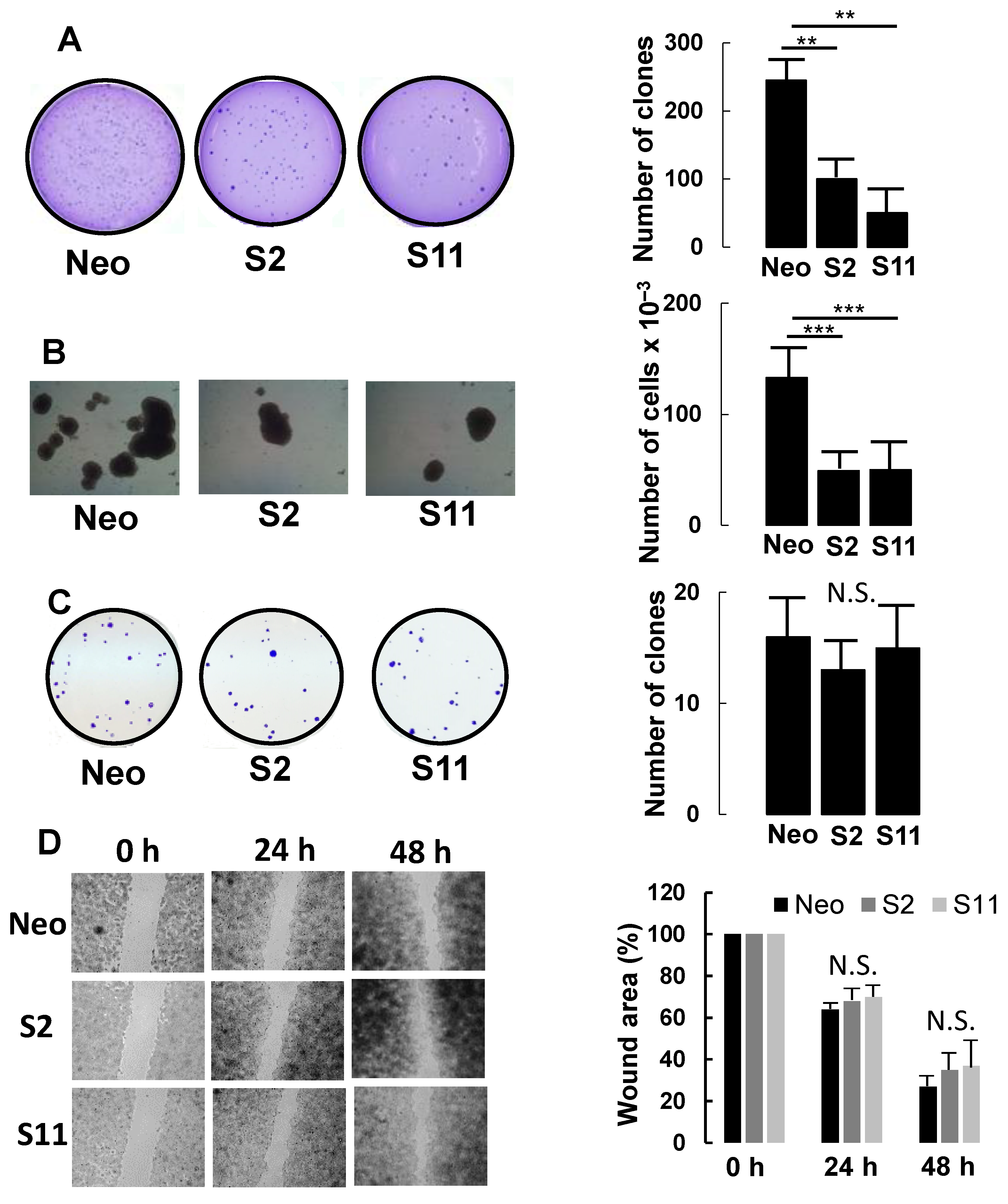 Cells 09 00948 g003 Cells 09 00948 g003