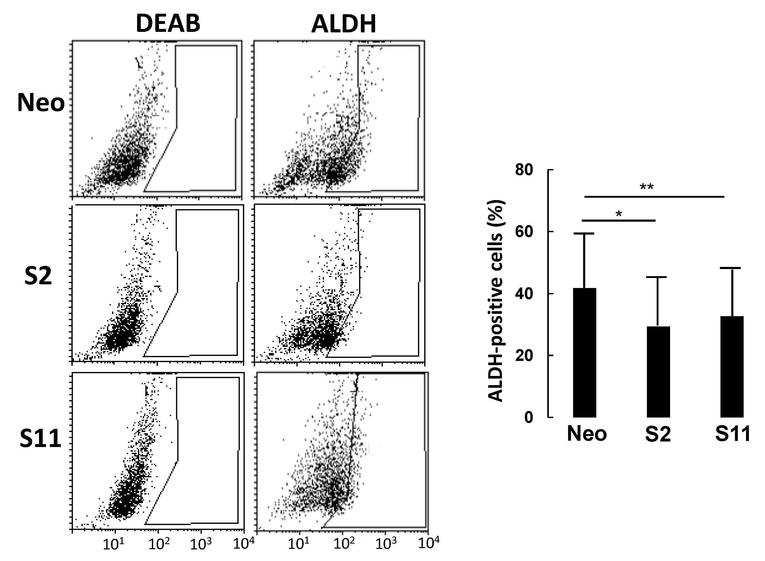 Cells 09 00948 g004 Cells 09 00948 g004