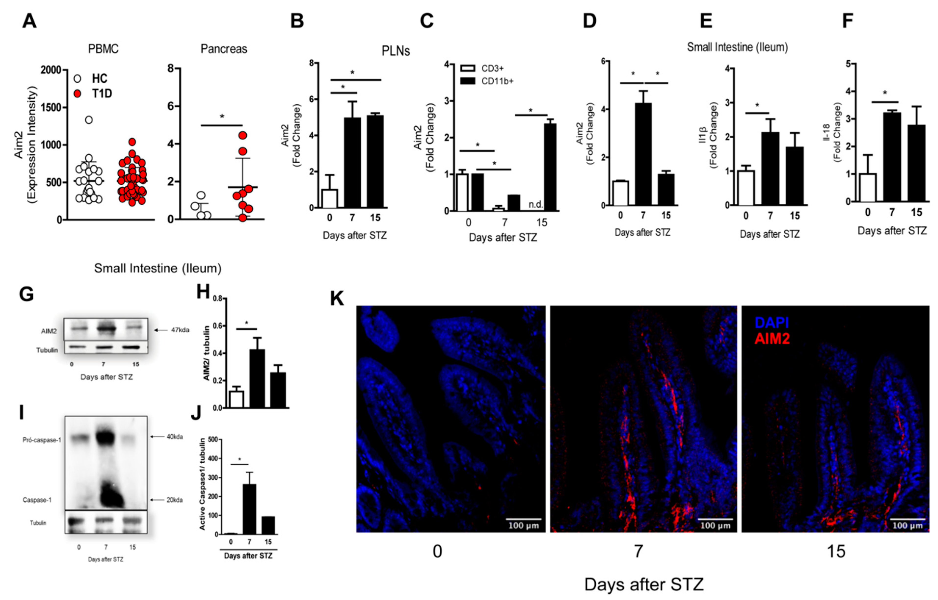 Cells 09 00959 g001 Cells 09 00959 g001