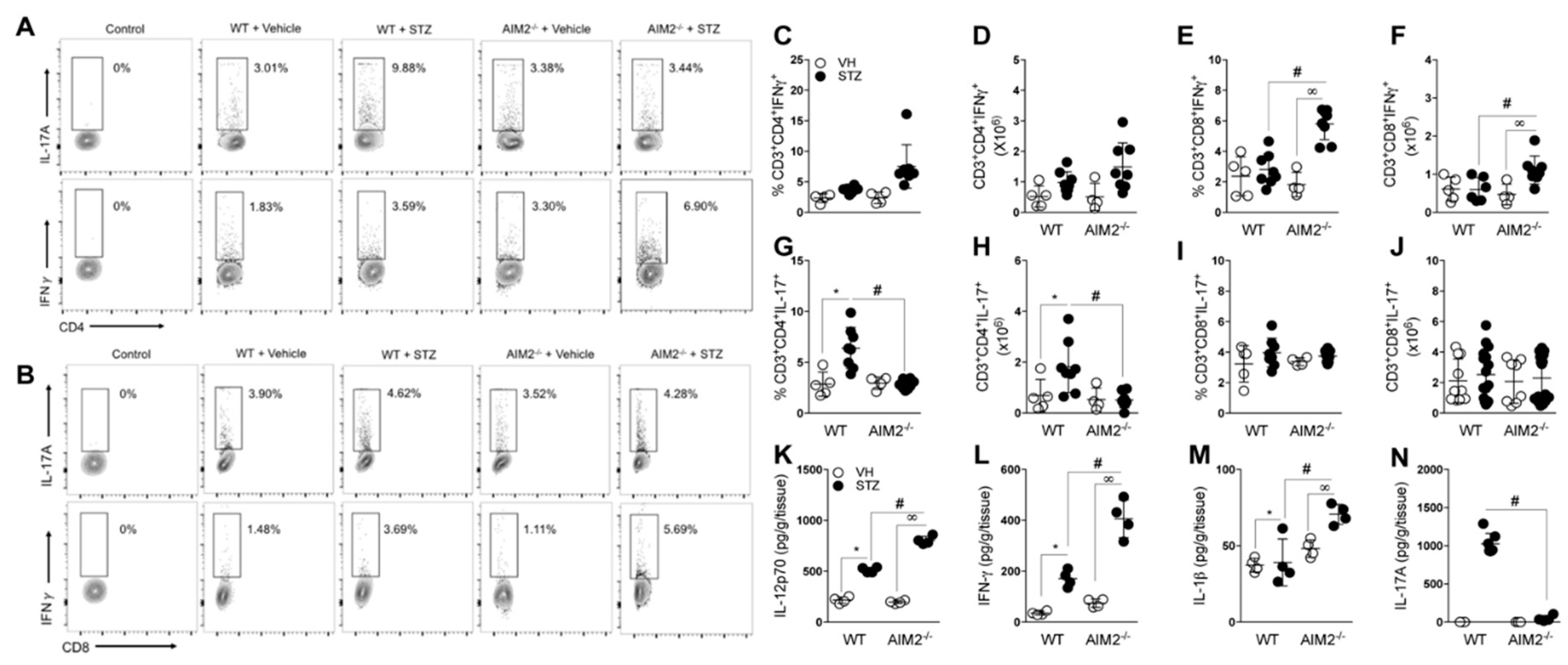 Cells 09 00959 g003 Cells 09 00959 g003