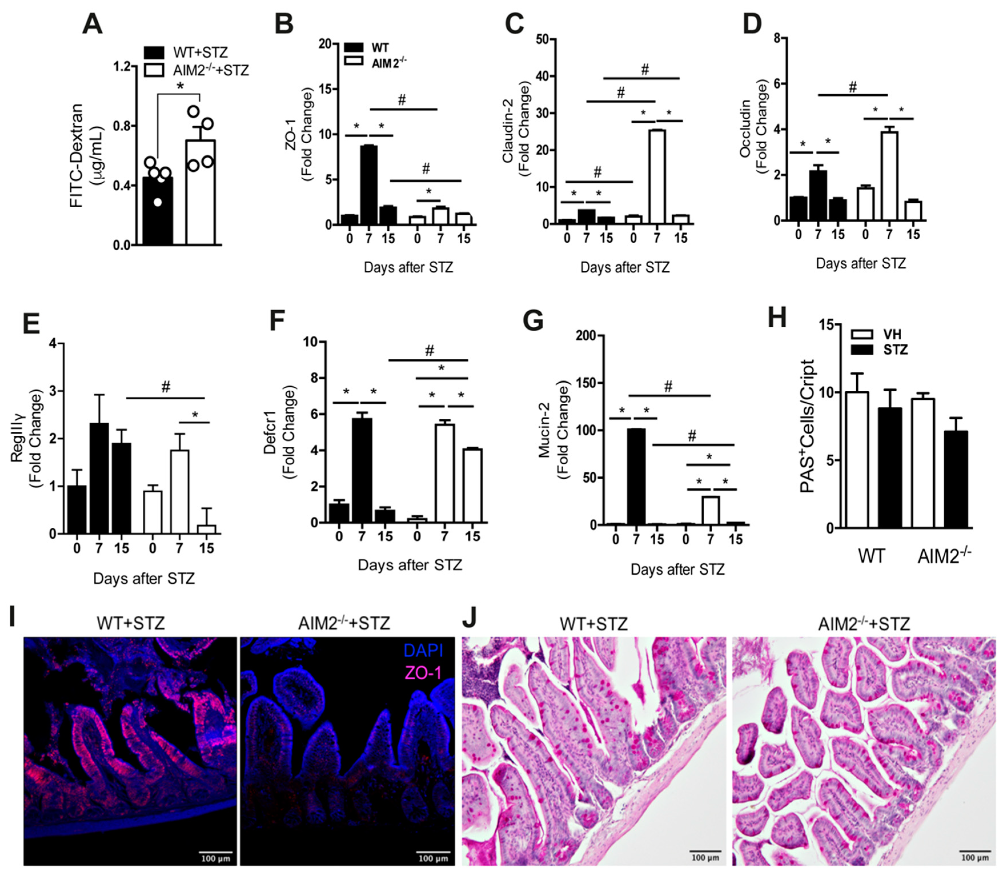 Cells 09 00959 g006 Cells 09 00959 g006
