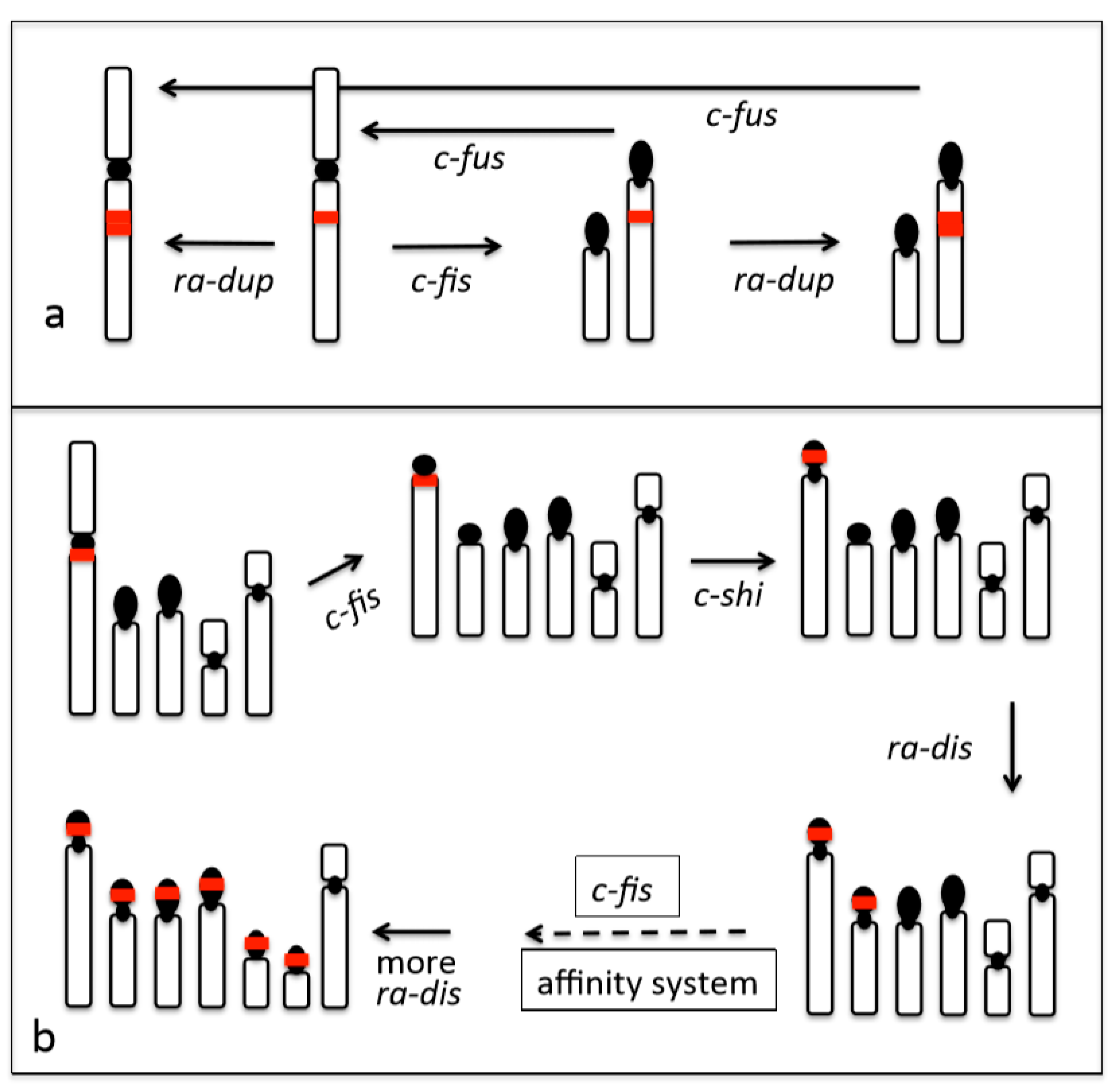 Cells 09 00971 g002 Cells 09 00971 g002
