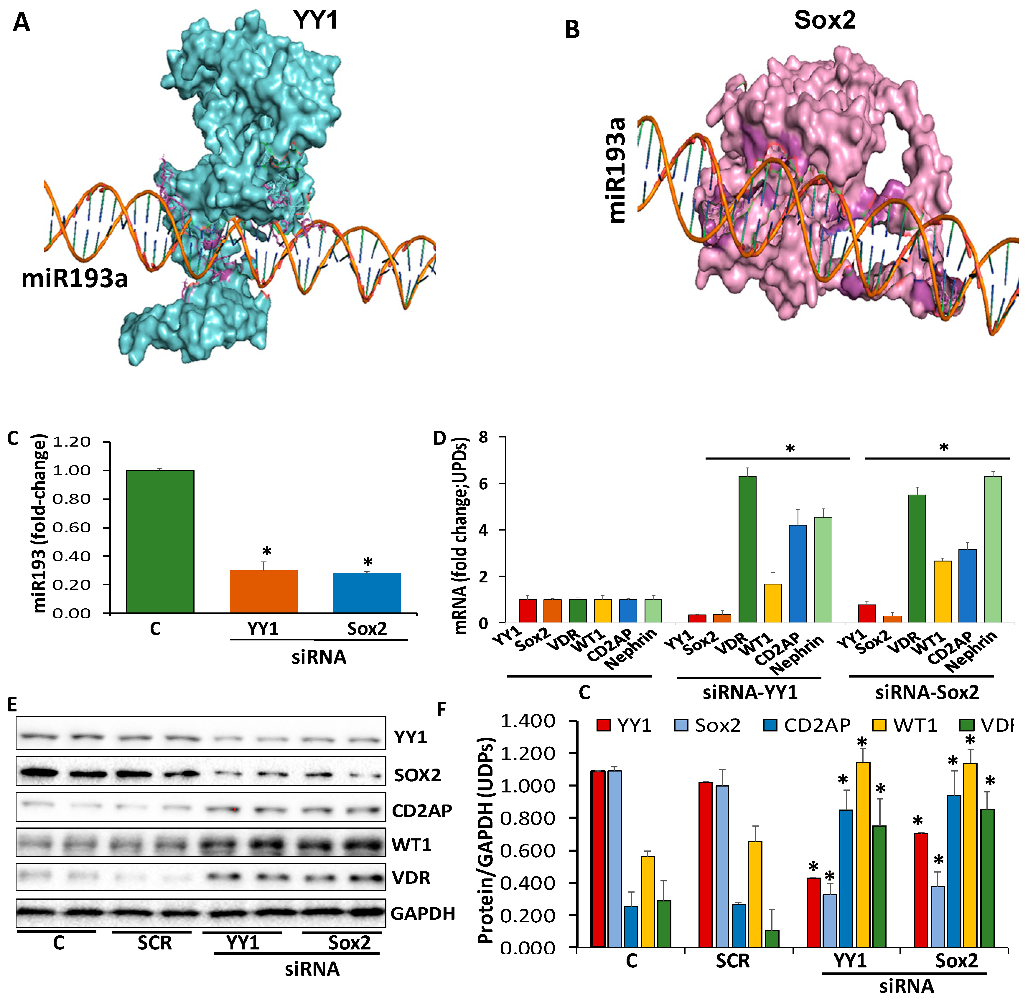 Cells 09 01004 g003 Cells 09 01004 g003