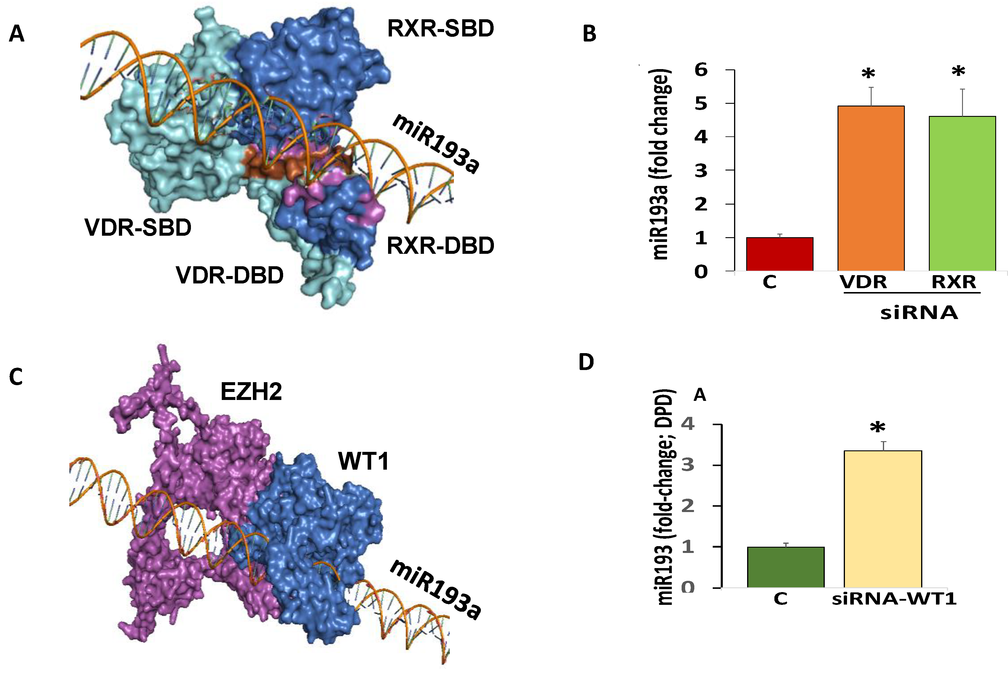 Cells 09 01004 g004 Cells 09 01004 g004
